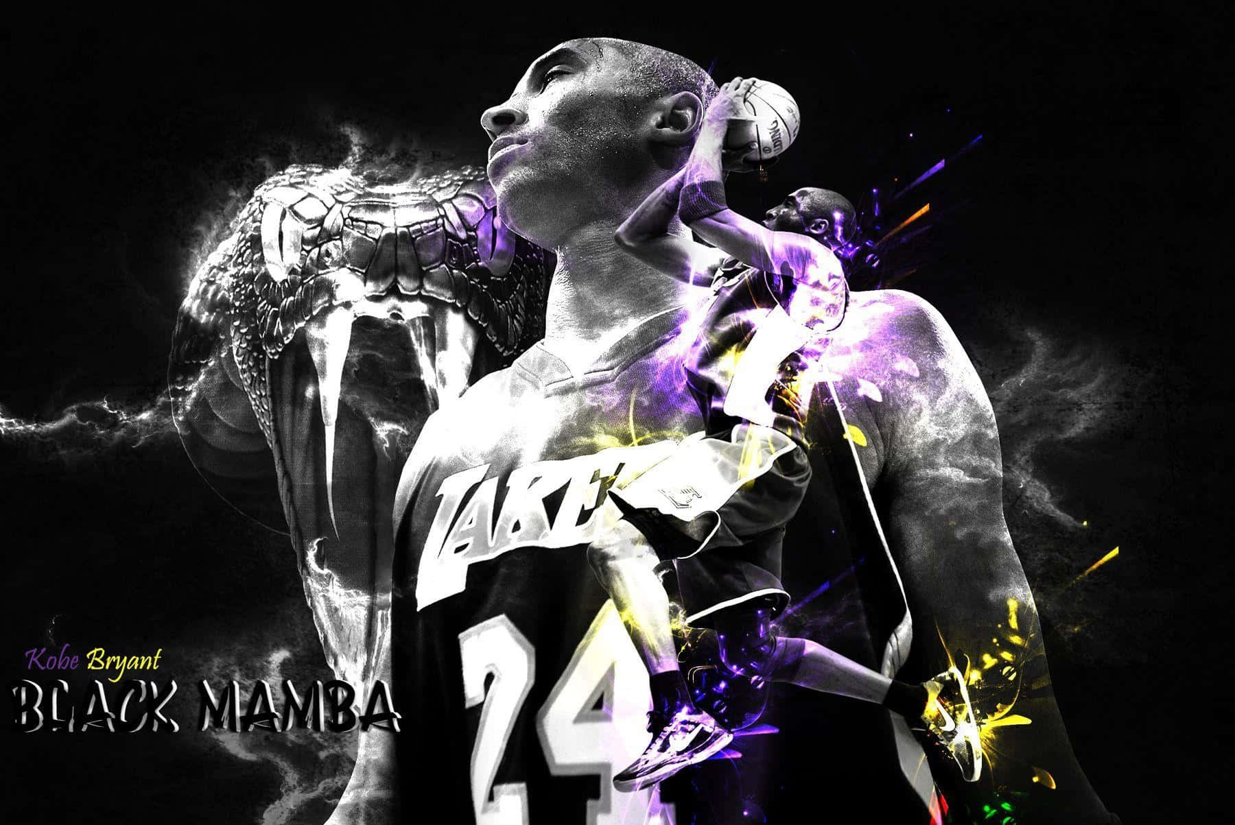 Kobe Bryant, The Black Mamba Background