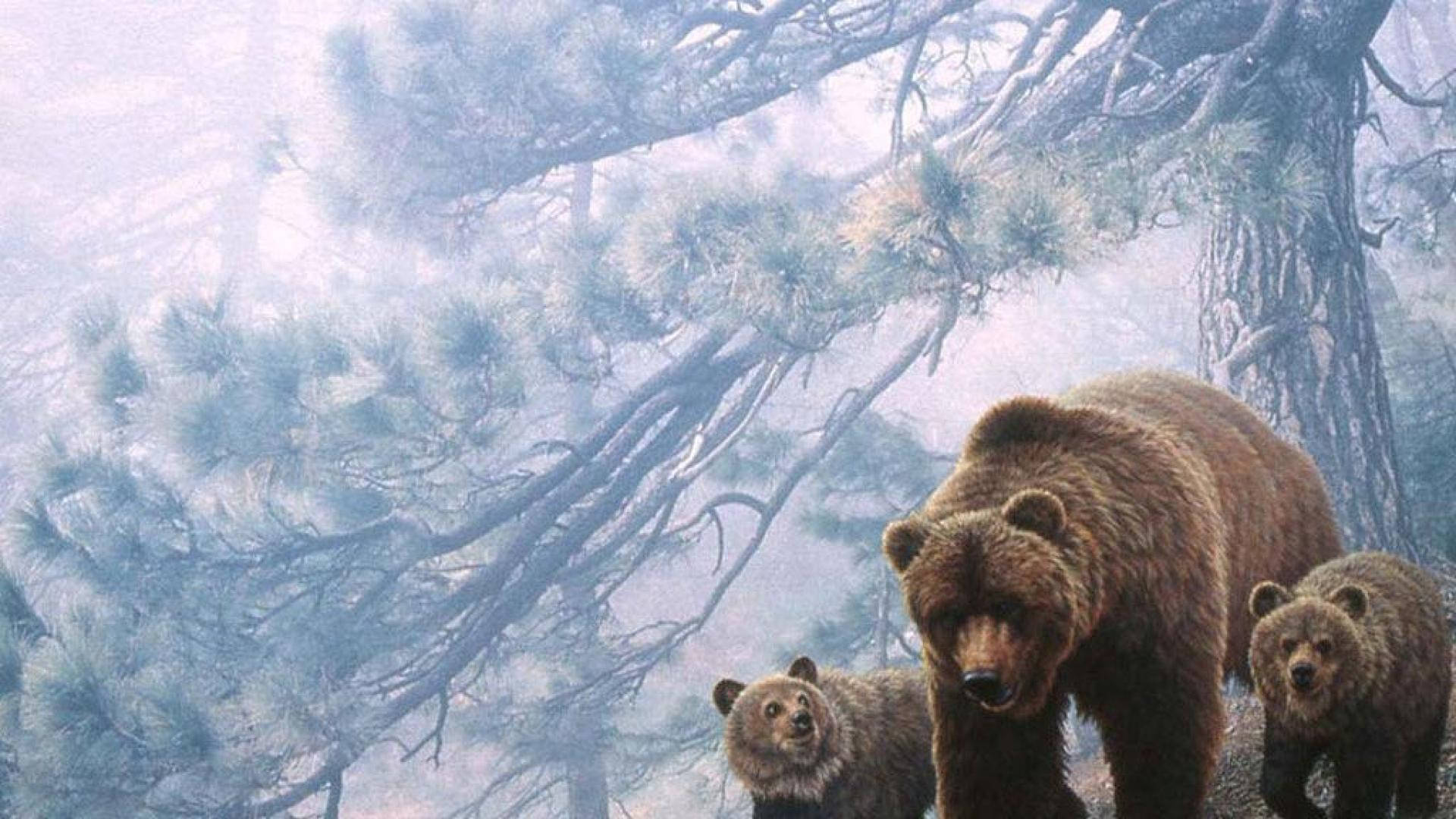 Kodiak Bear Family Painting Background