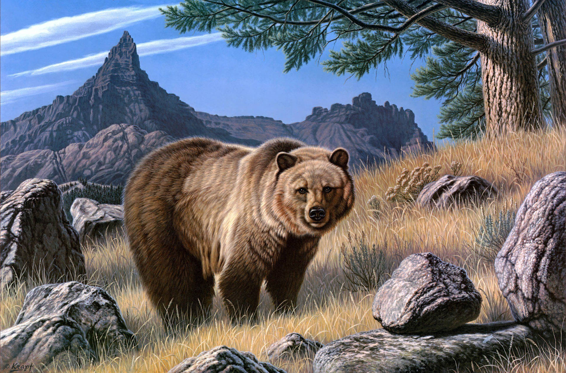 Kodiak Bear On Forest Background