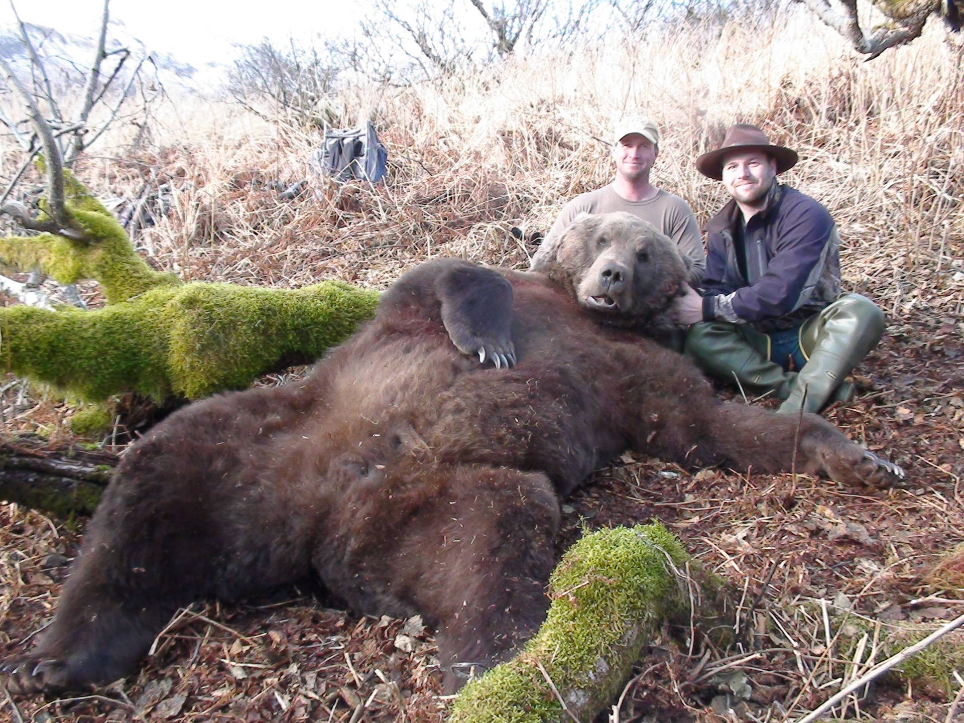 Kodiak Bear With Hunters Background