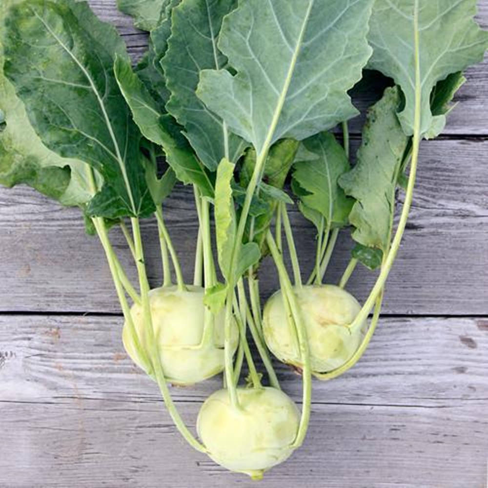 Kohlrabi On Wood Planks Background