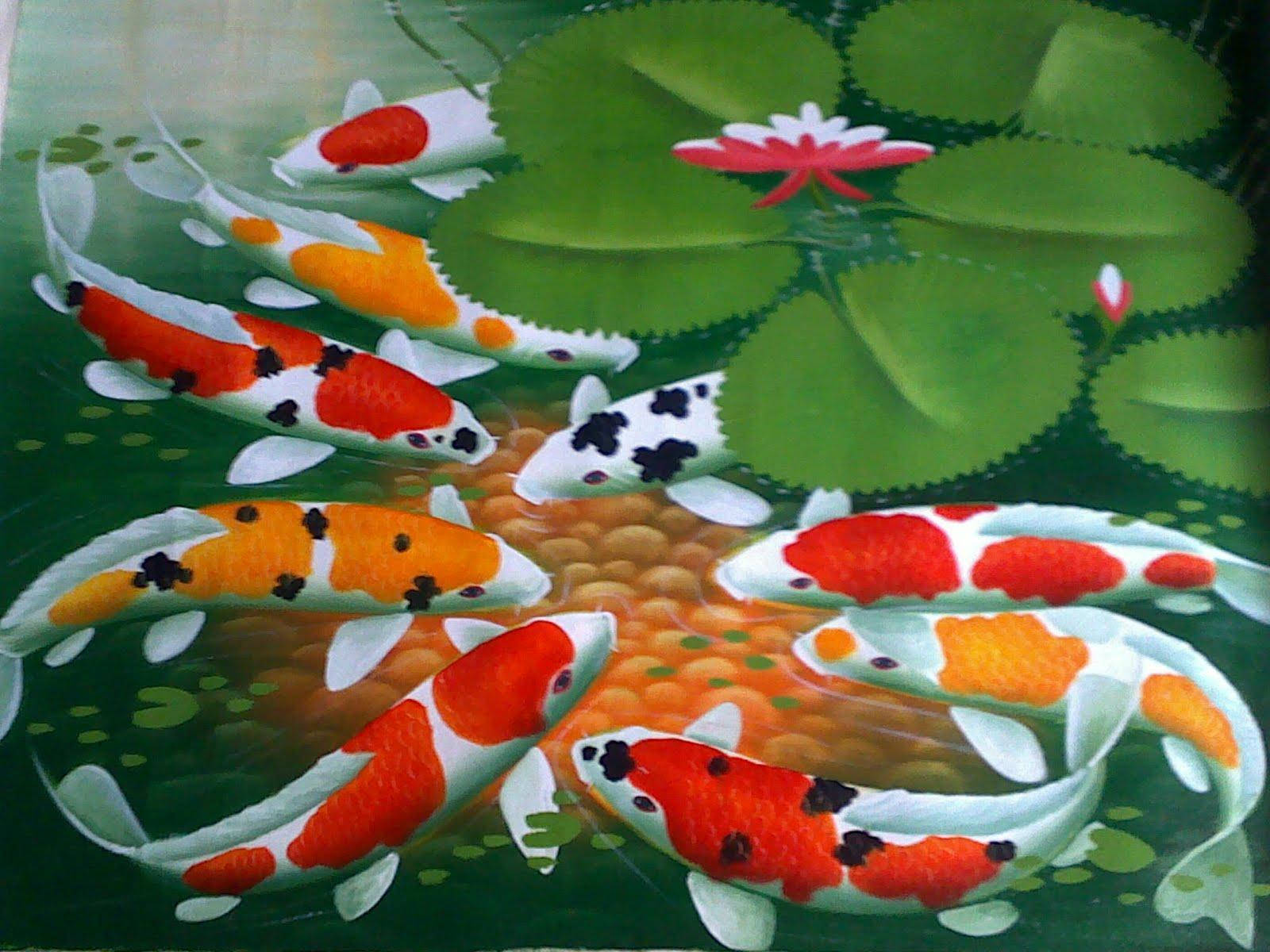 Koi Fish Eggs