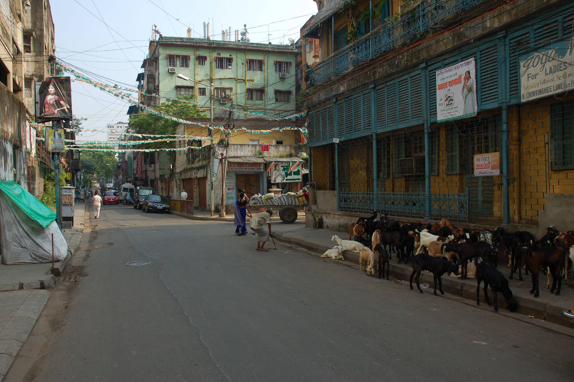 Kolkata Goat Trip