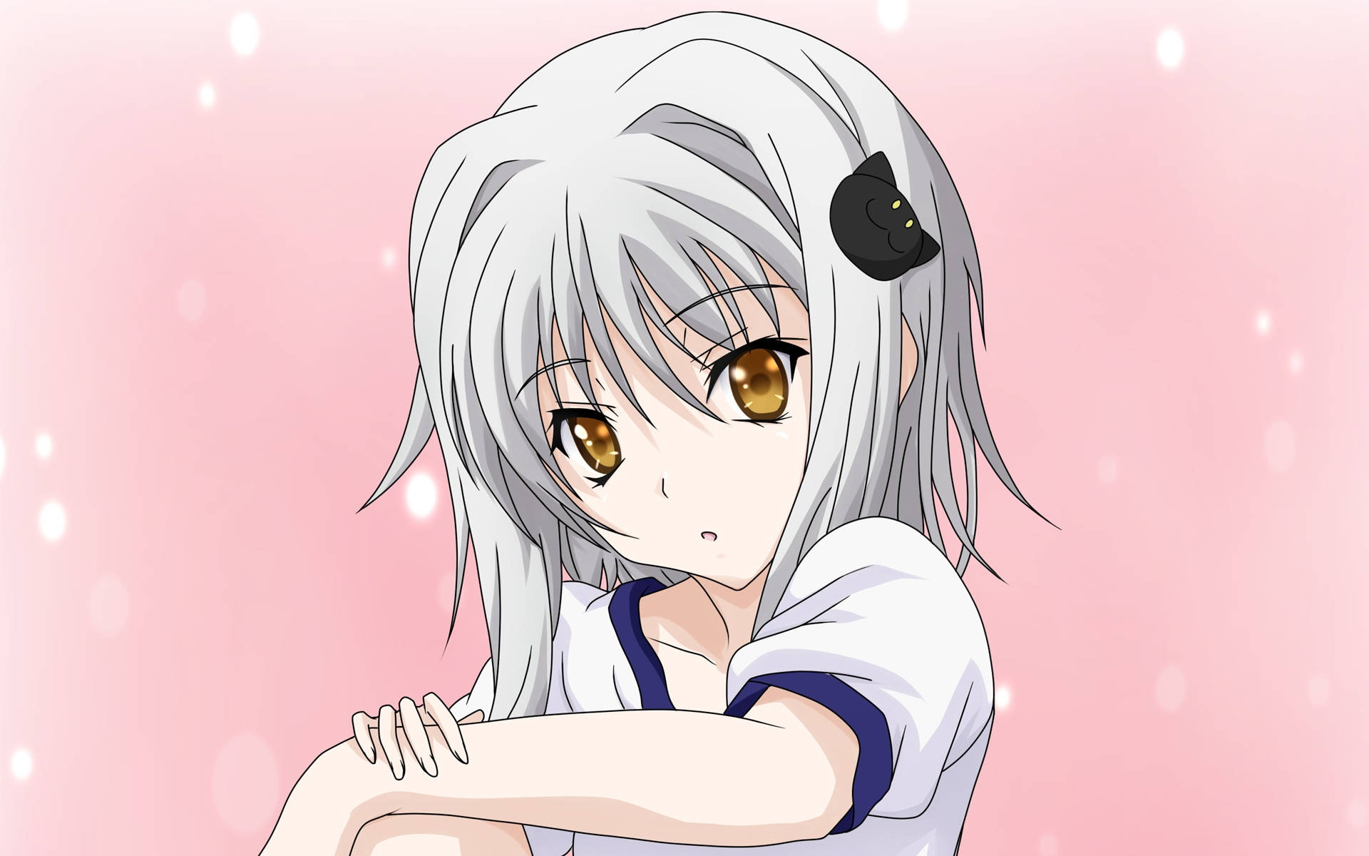 Koneko Tōjo High School Dxd Background