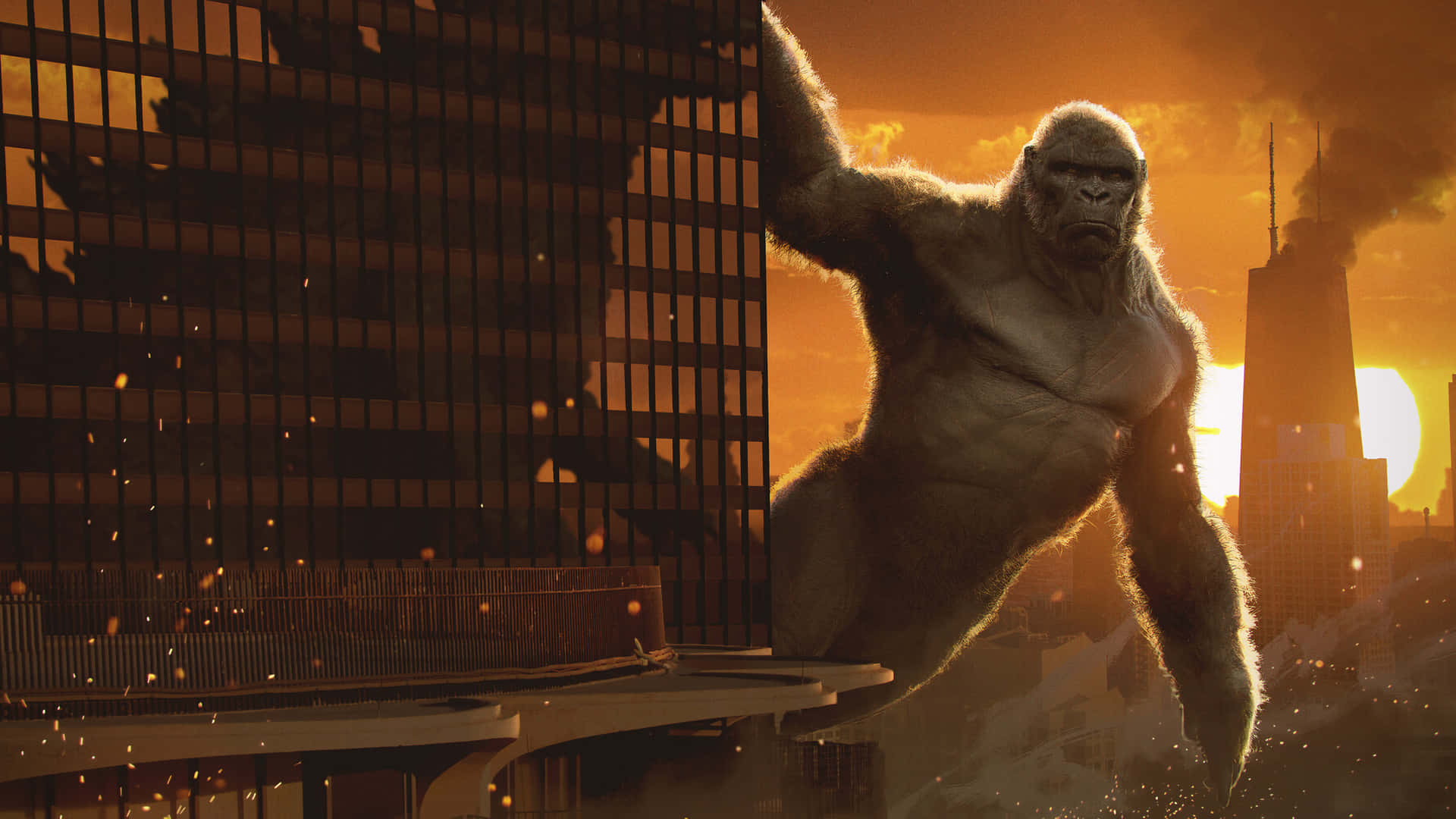 Kong - The Movie - Wallpaper Background