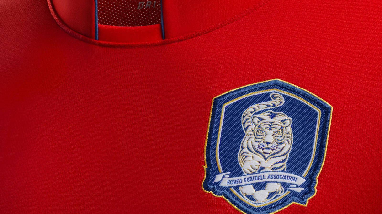 Korea Republic National Football Team Blue Tiger Background