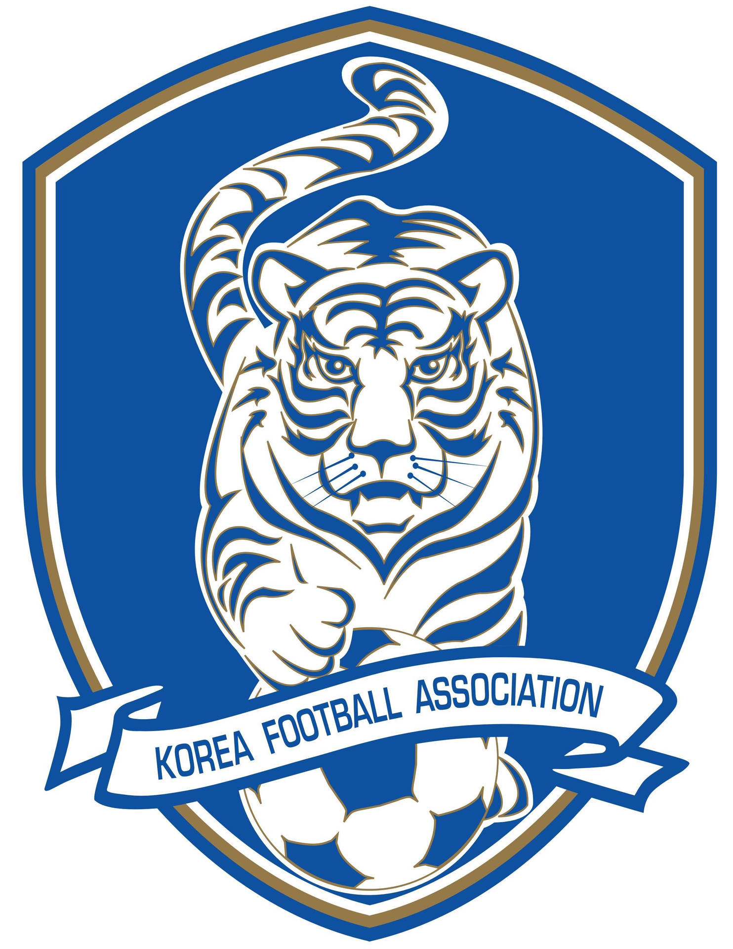 Korea Republic National Football Team's Tiger Crest Background