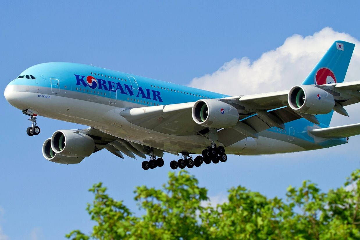 Korean Air A380 Landing Background