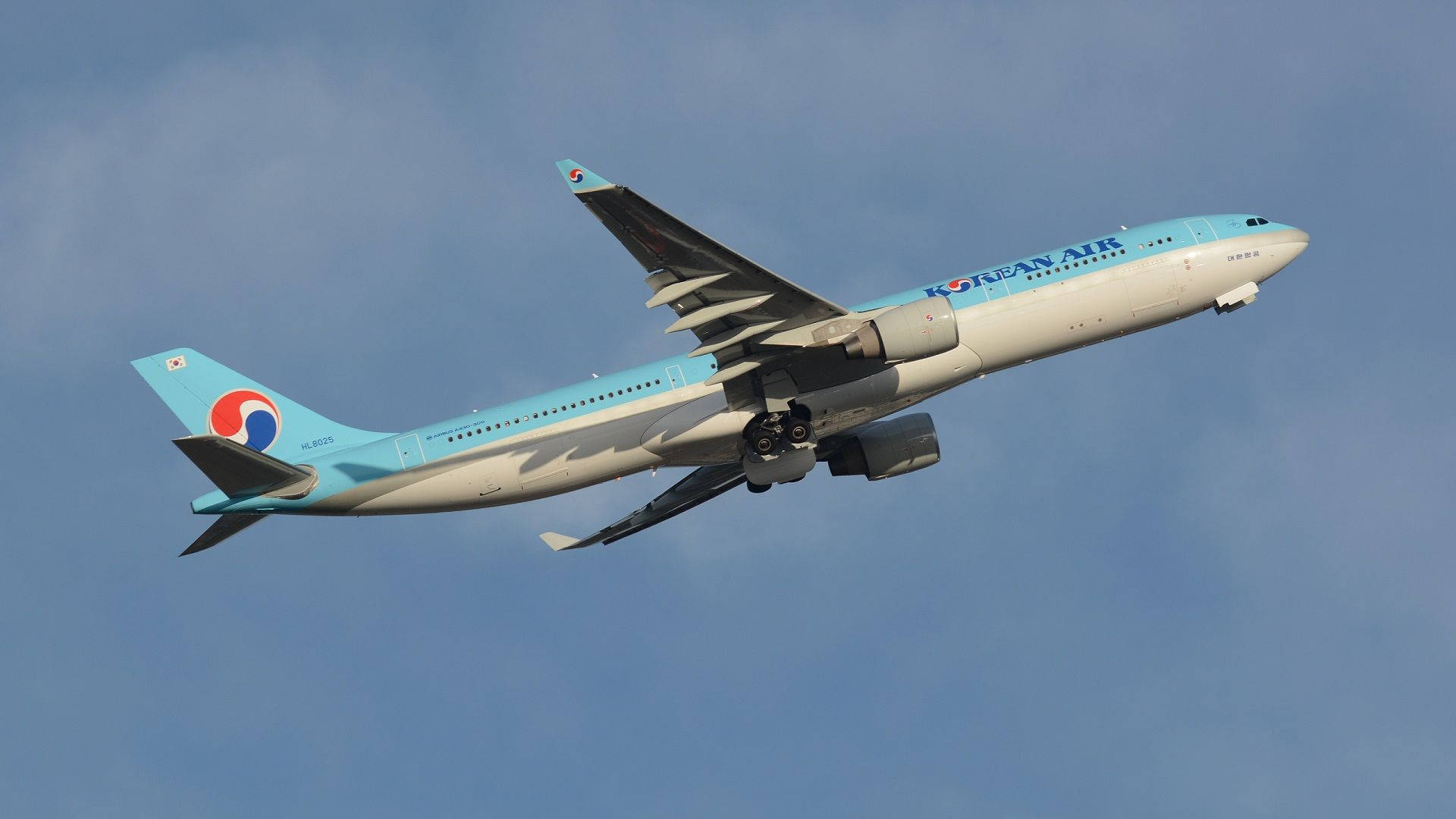 Korean Air Airbus A300 Flying Background