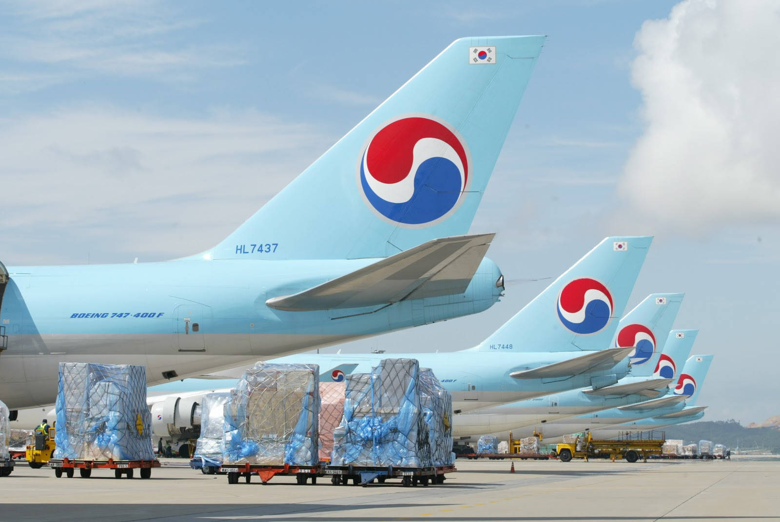 Korean Air Airlines Logo Background