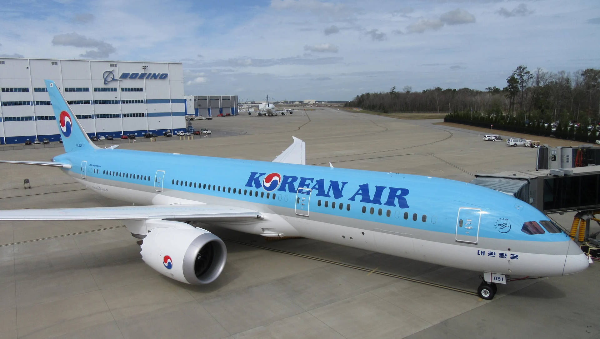 Korean Air Boeing 787-9 Dreamliner Background