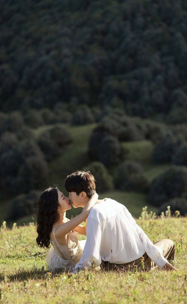Korean Couple Kissing On The Meadow Background
