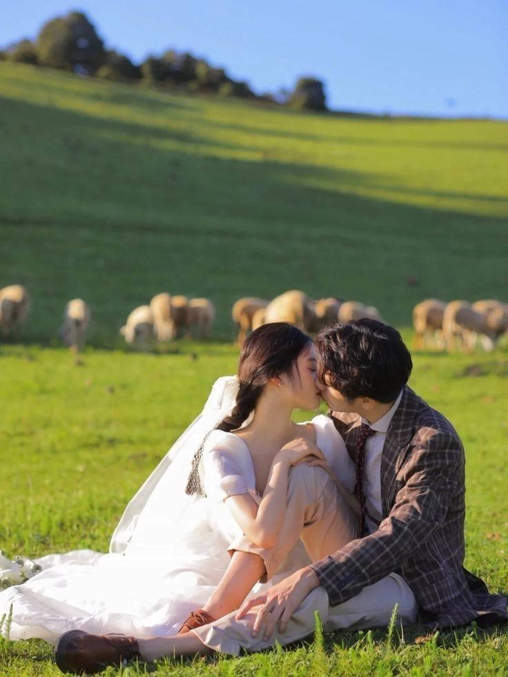 Korean Couple Kissing On The Pasture Background