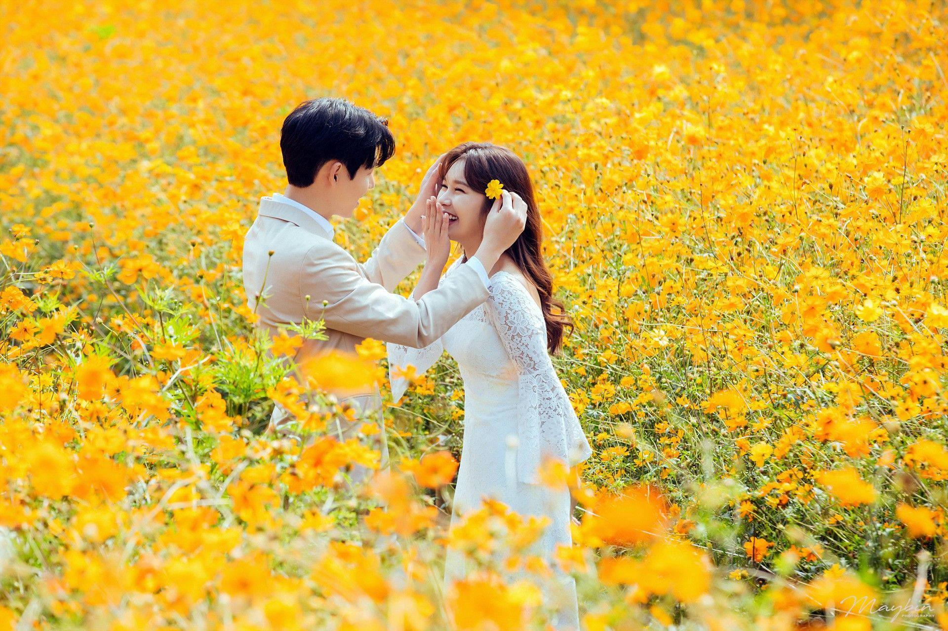 Korean Couple On Yellow Flower Field Background