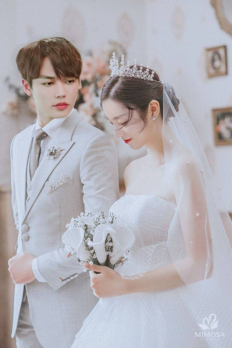 Korean Couple Wedding Background