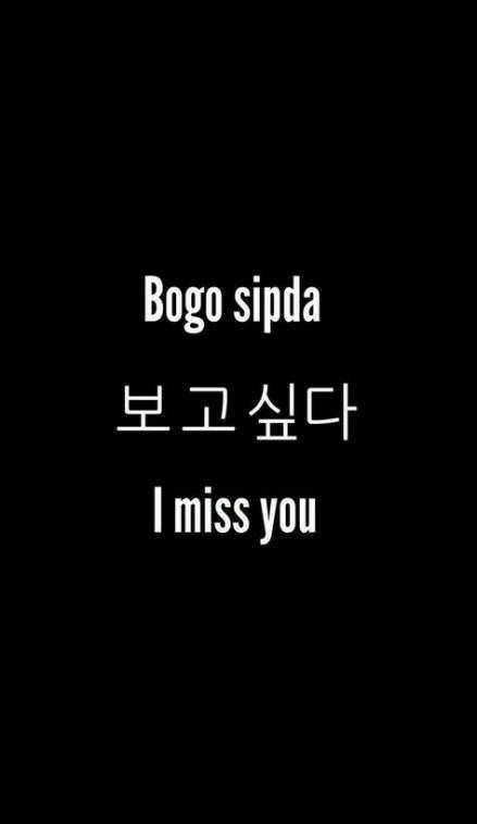 Korean I Miss You