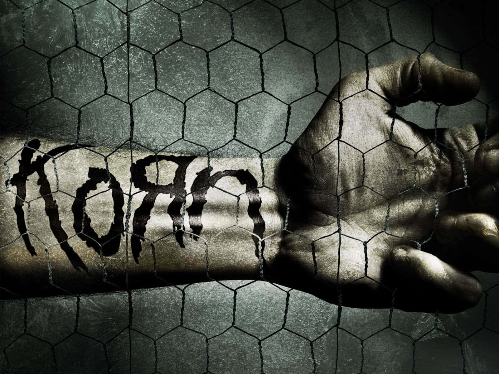 Korn Arm Paint Background