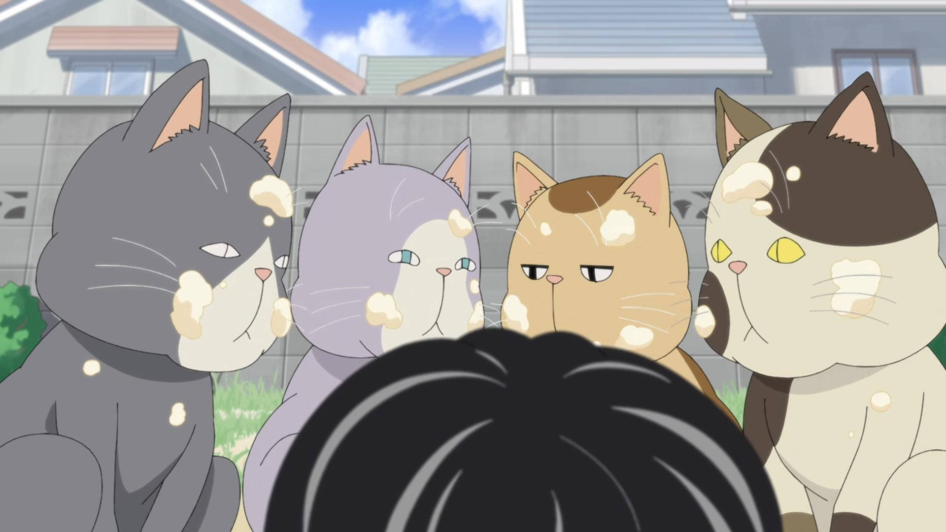 Kotaro Lives Alone Neighborhood Cats Background