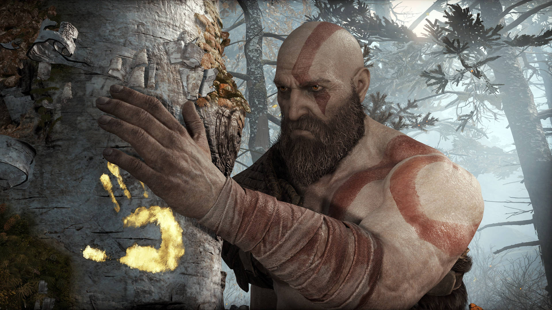 Kratos Holding Tree Background