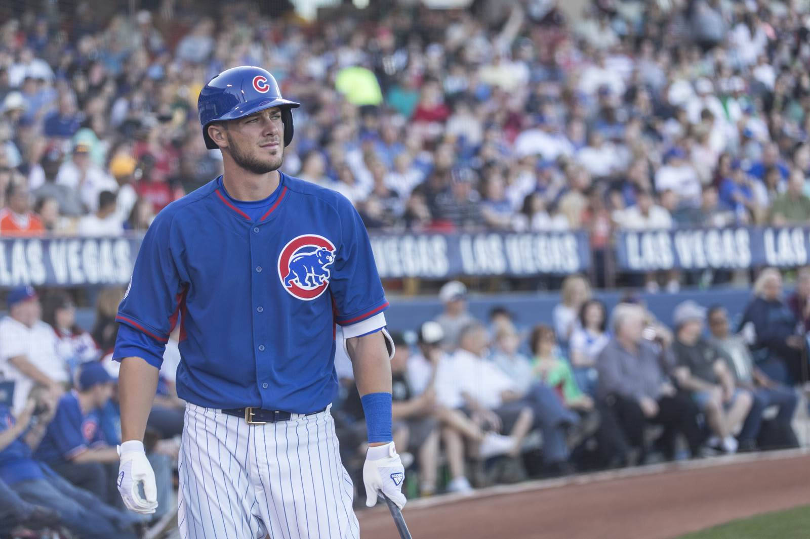 Kris Bryant On The Sidelines Background