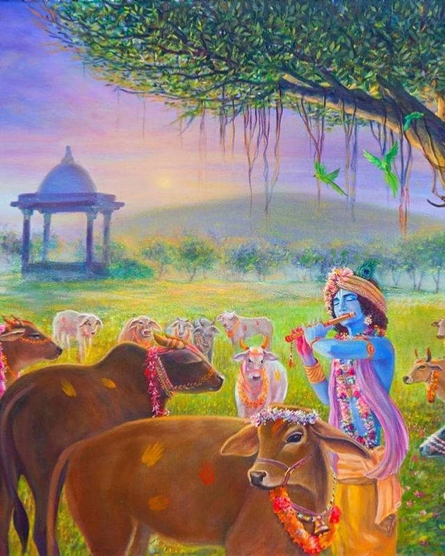 Krishna Hd Cow Garland Background