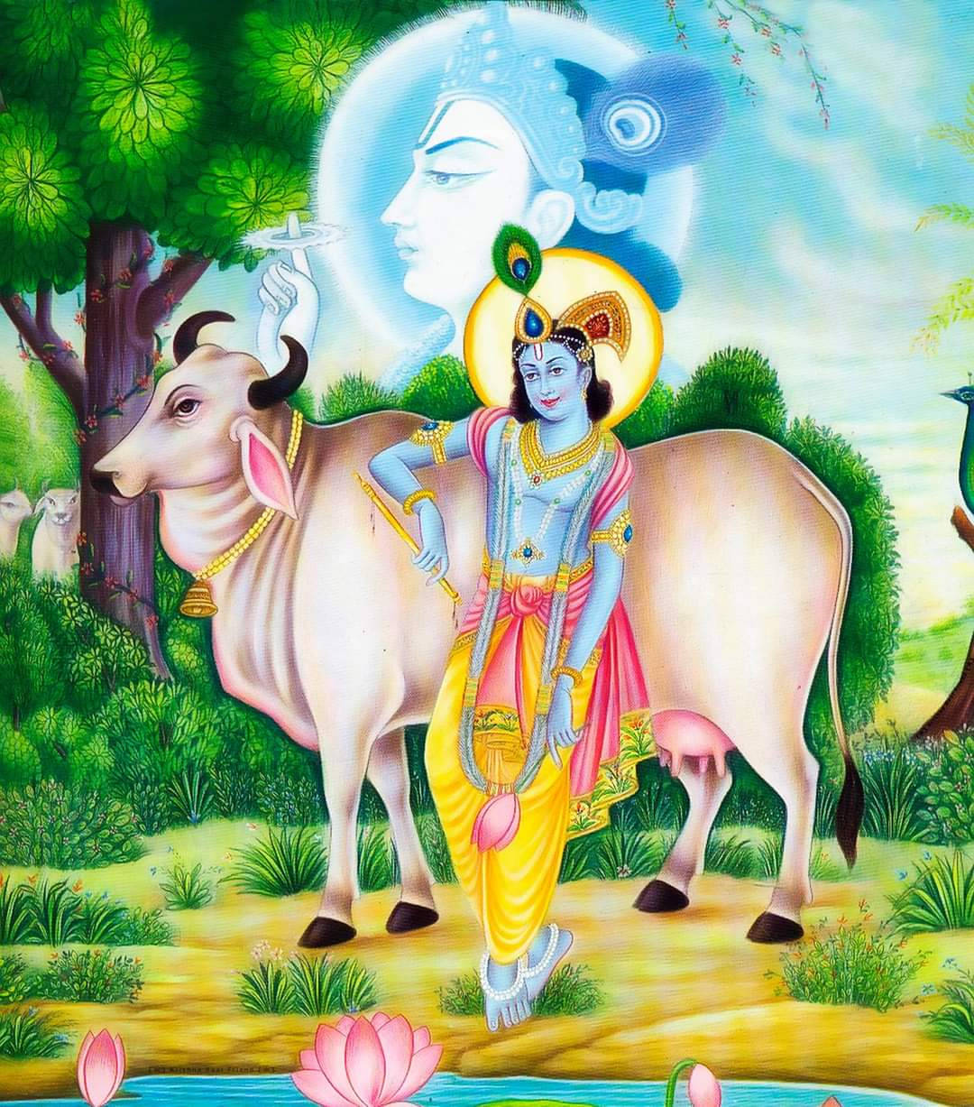 Krishna Hd Cow Lotus Art