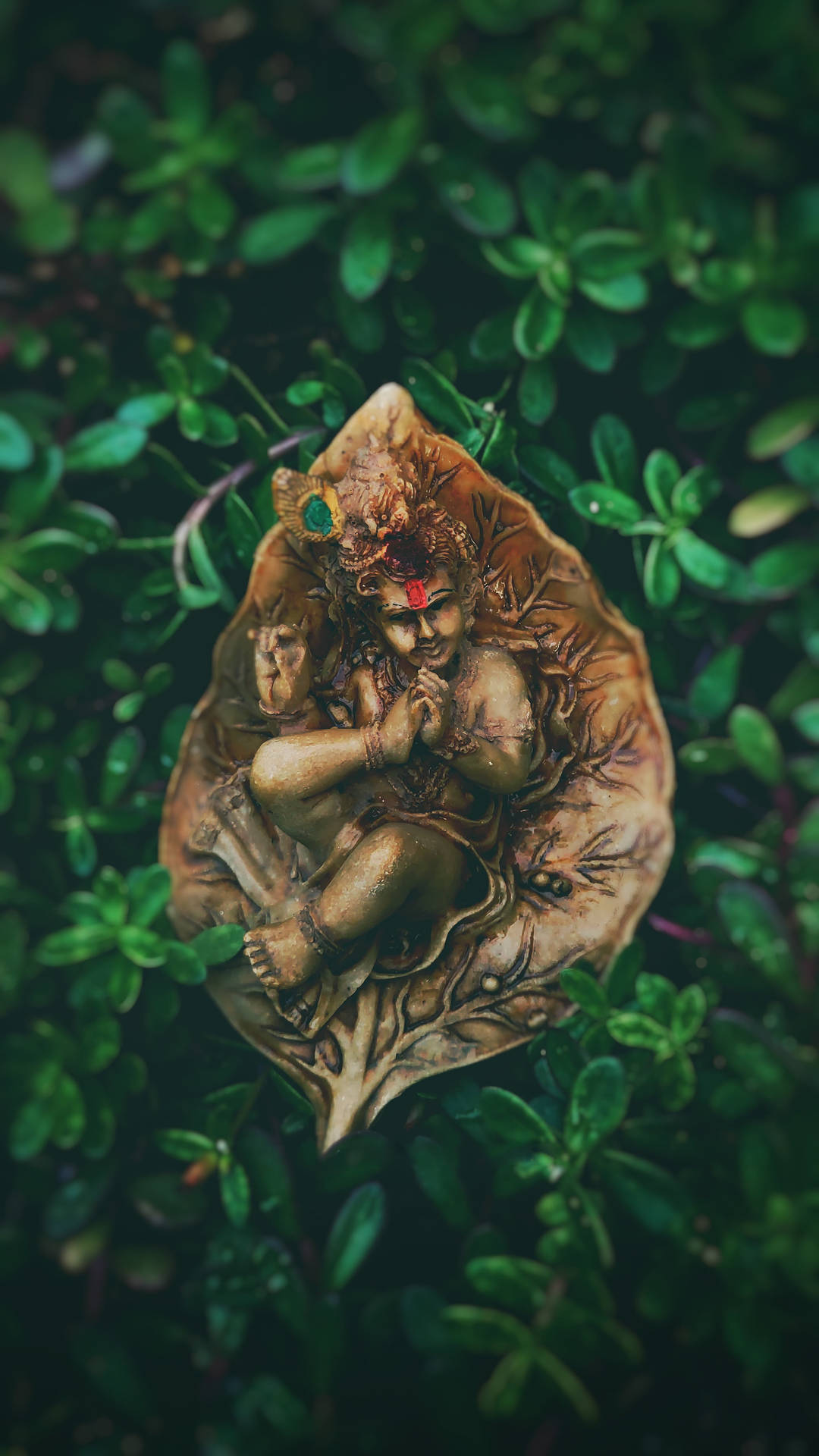 Krishna Hd Leaf Art Background
