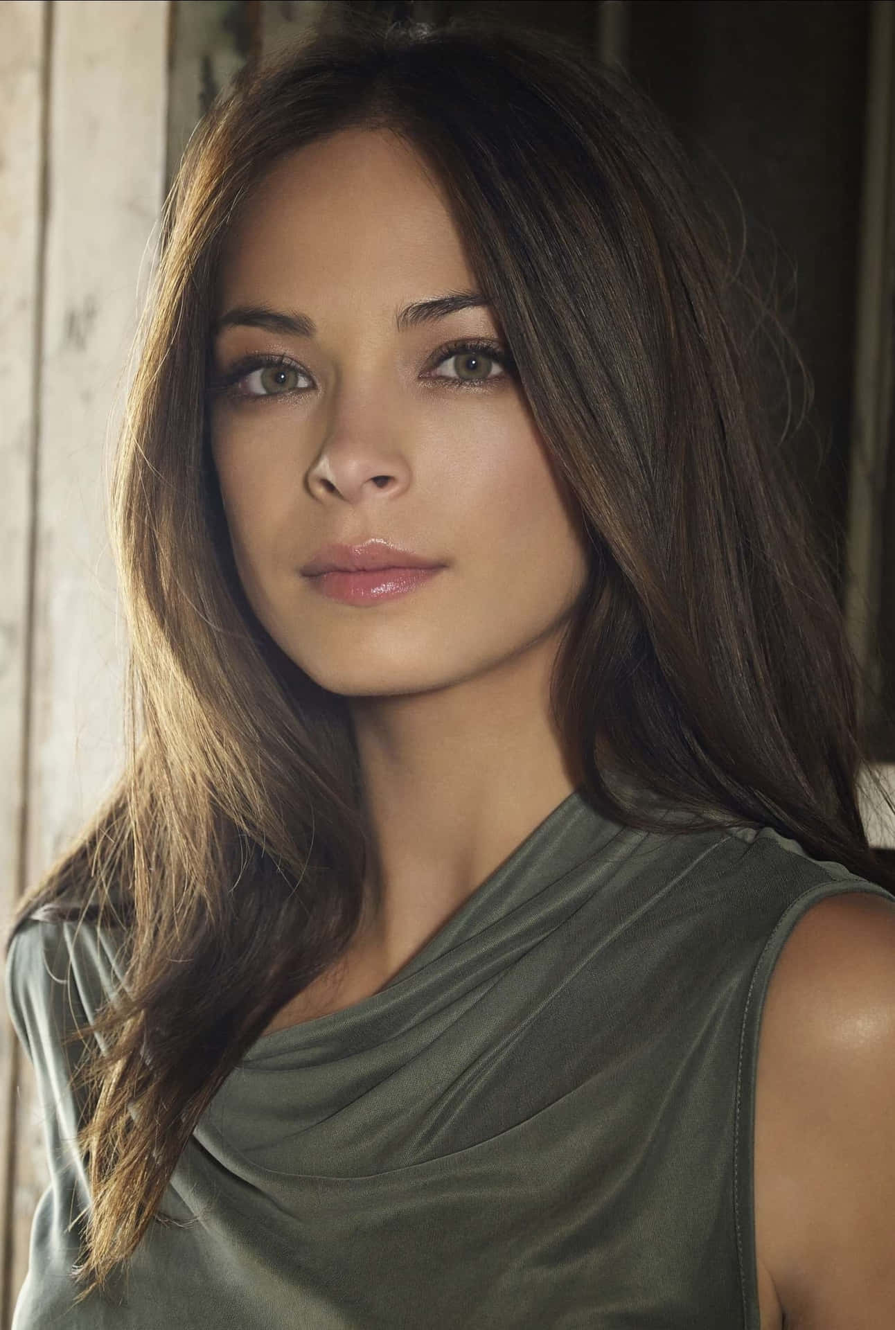 Kristin Kreuk Elegant Portrait Background