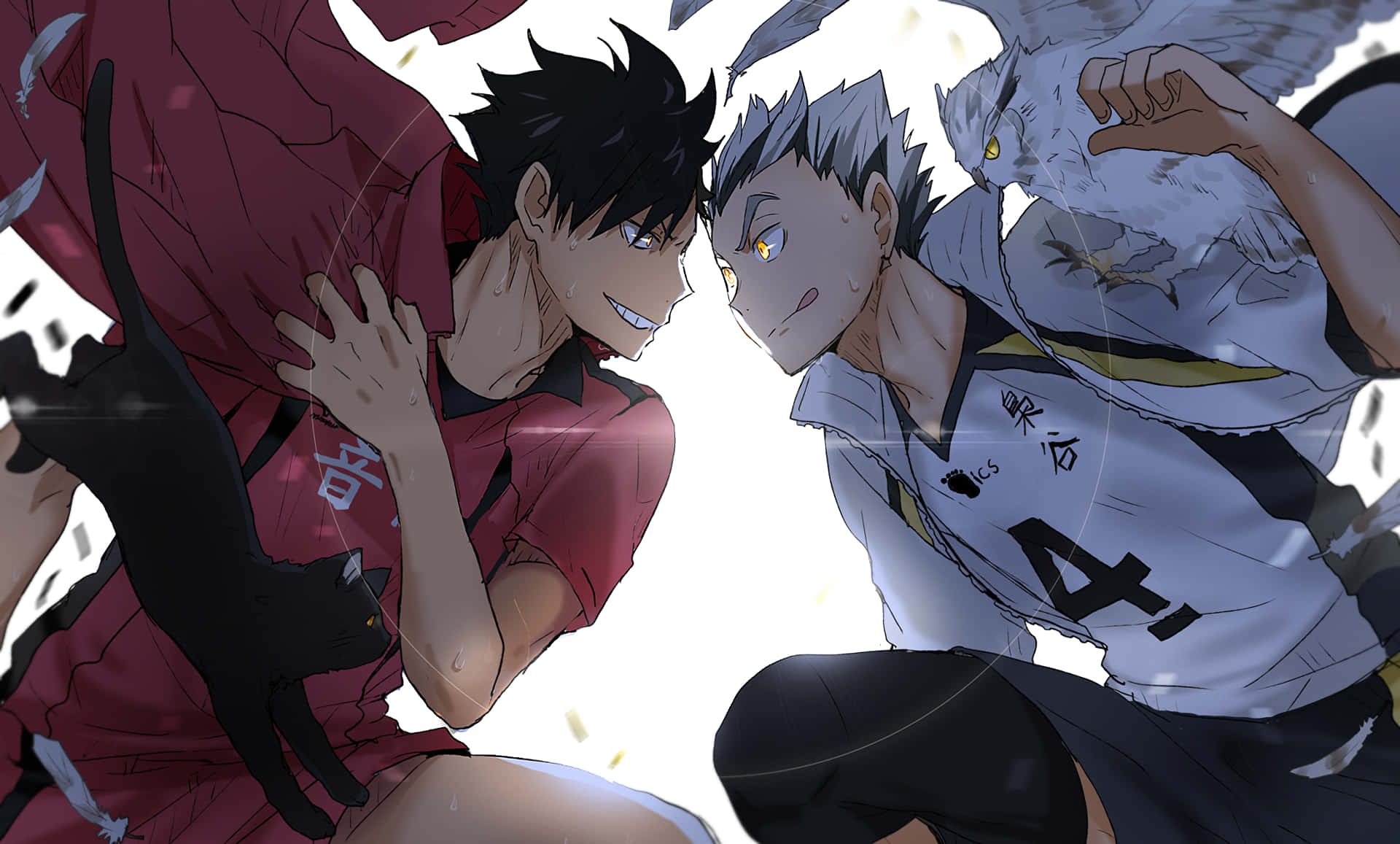 Ktar Bokuto And Tetsuro Of Haikyuu Background