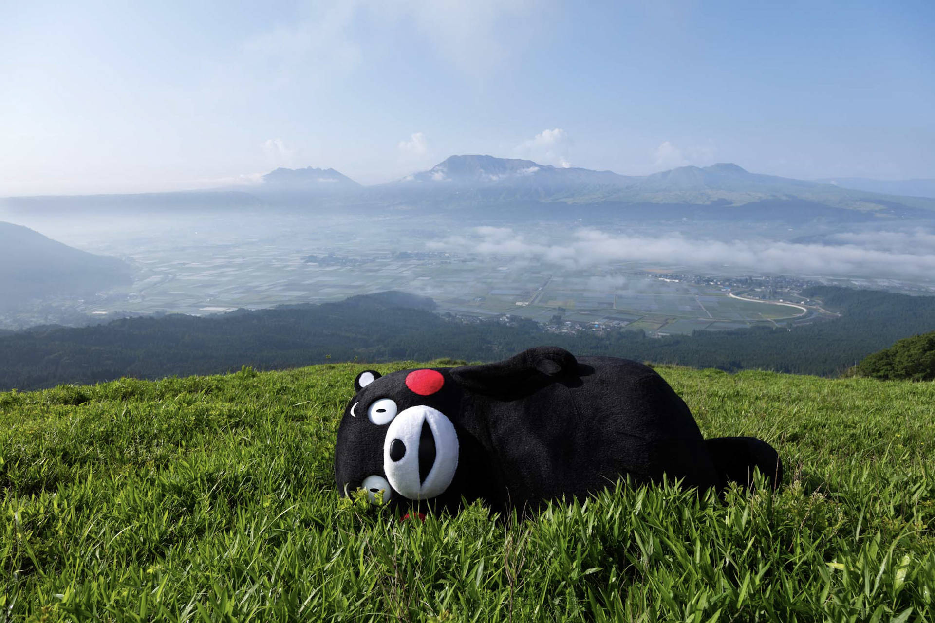 Kumamon Lying On The Grass Background