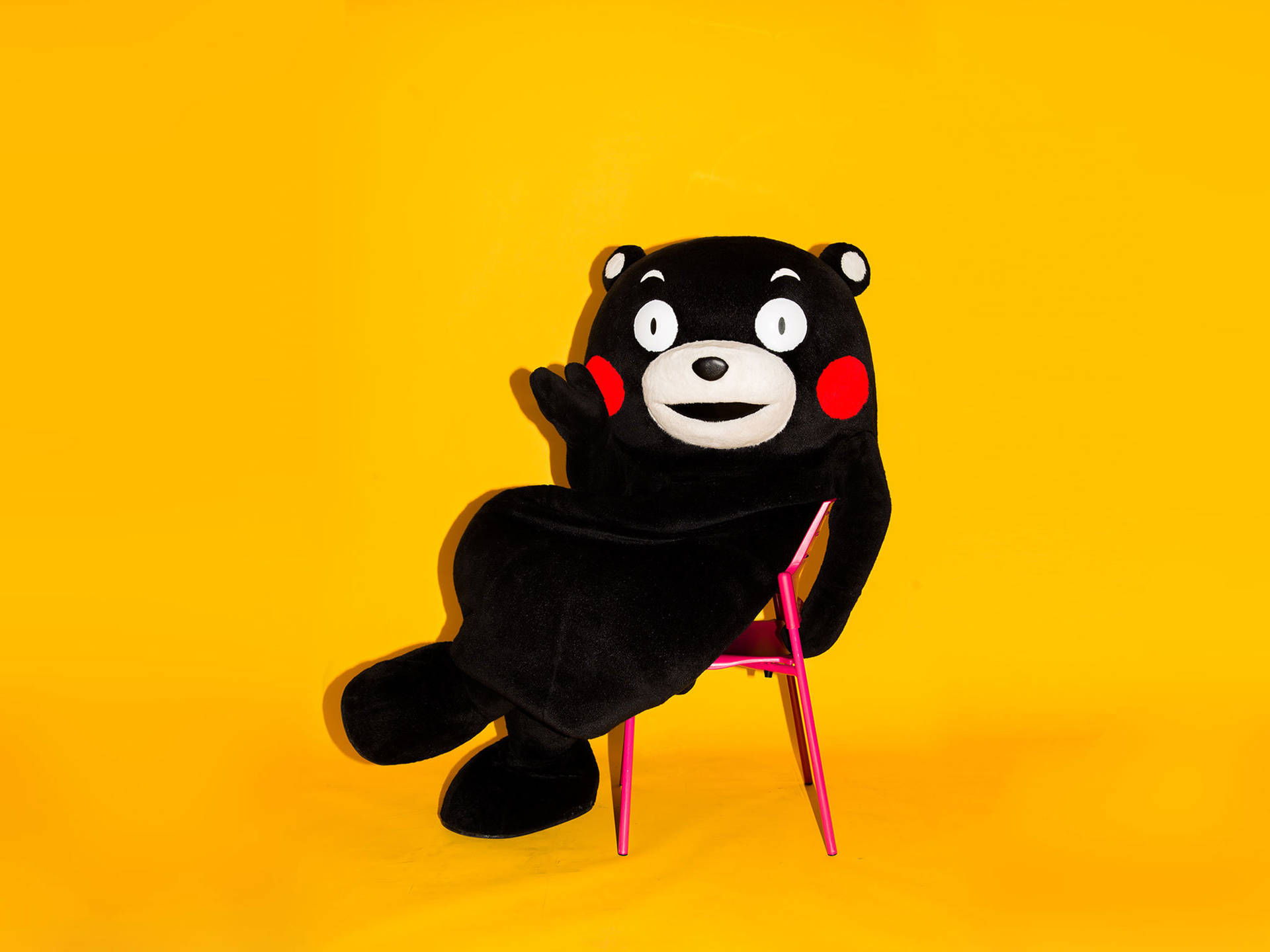 Kumamon On Pink Chair Background