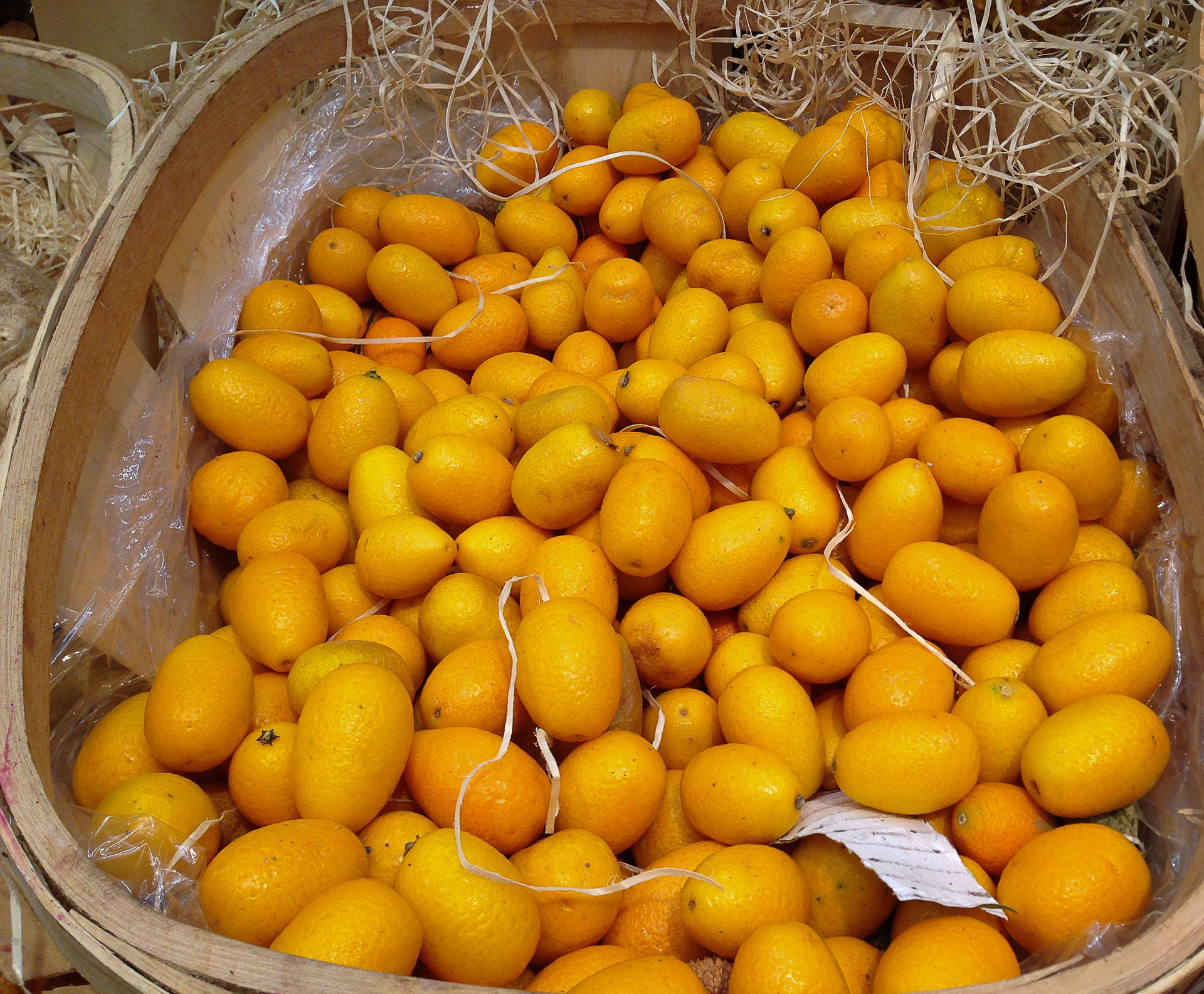 Kumquat Fruit Display High Angle Shot