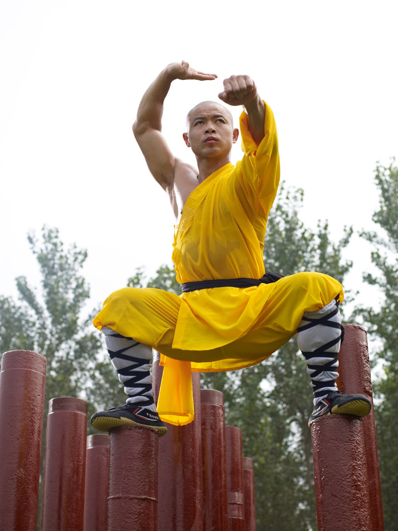 Kung Fu Master Shifu Yan Lei