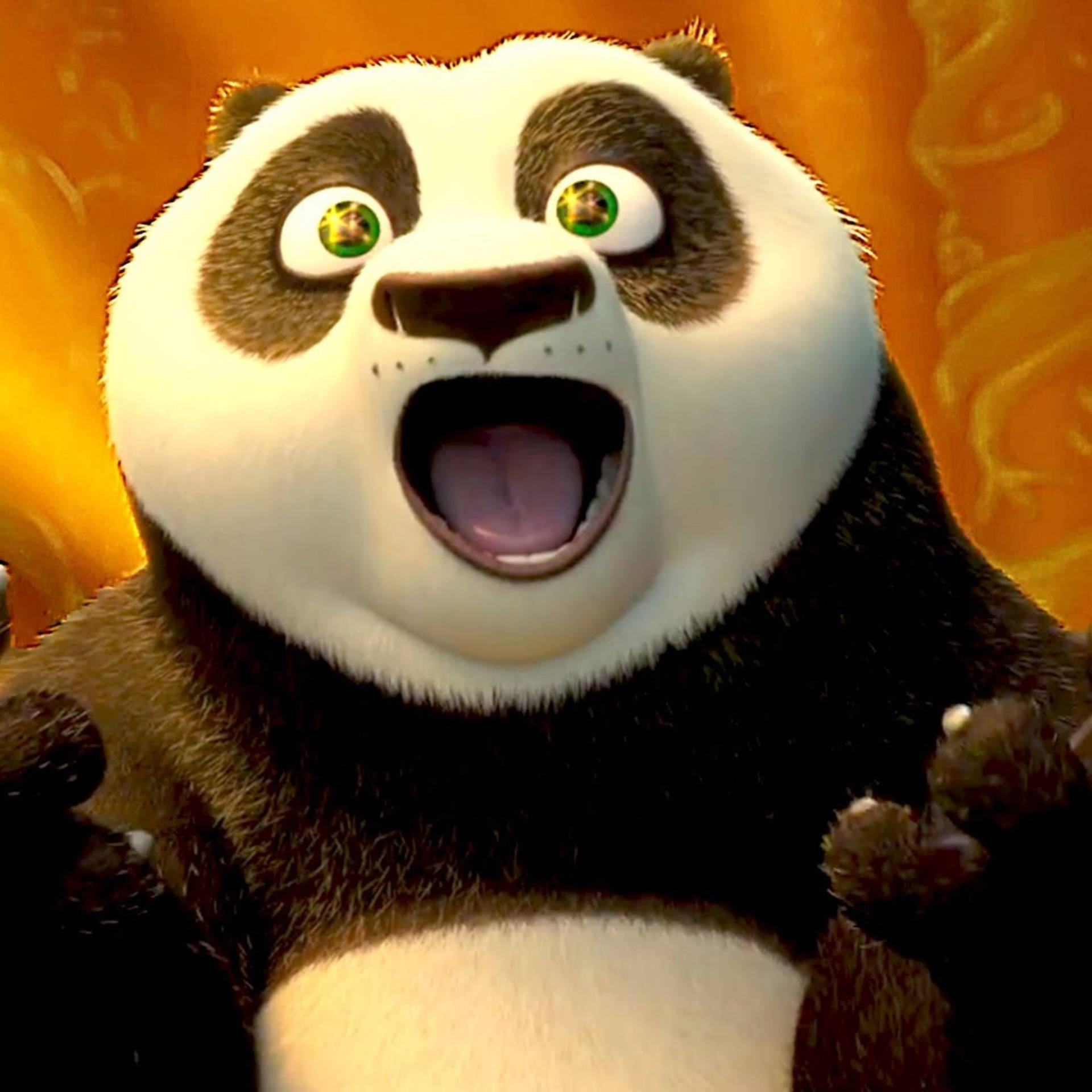 Kung Fu Panda Happy And Excited