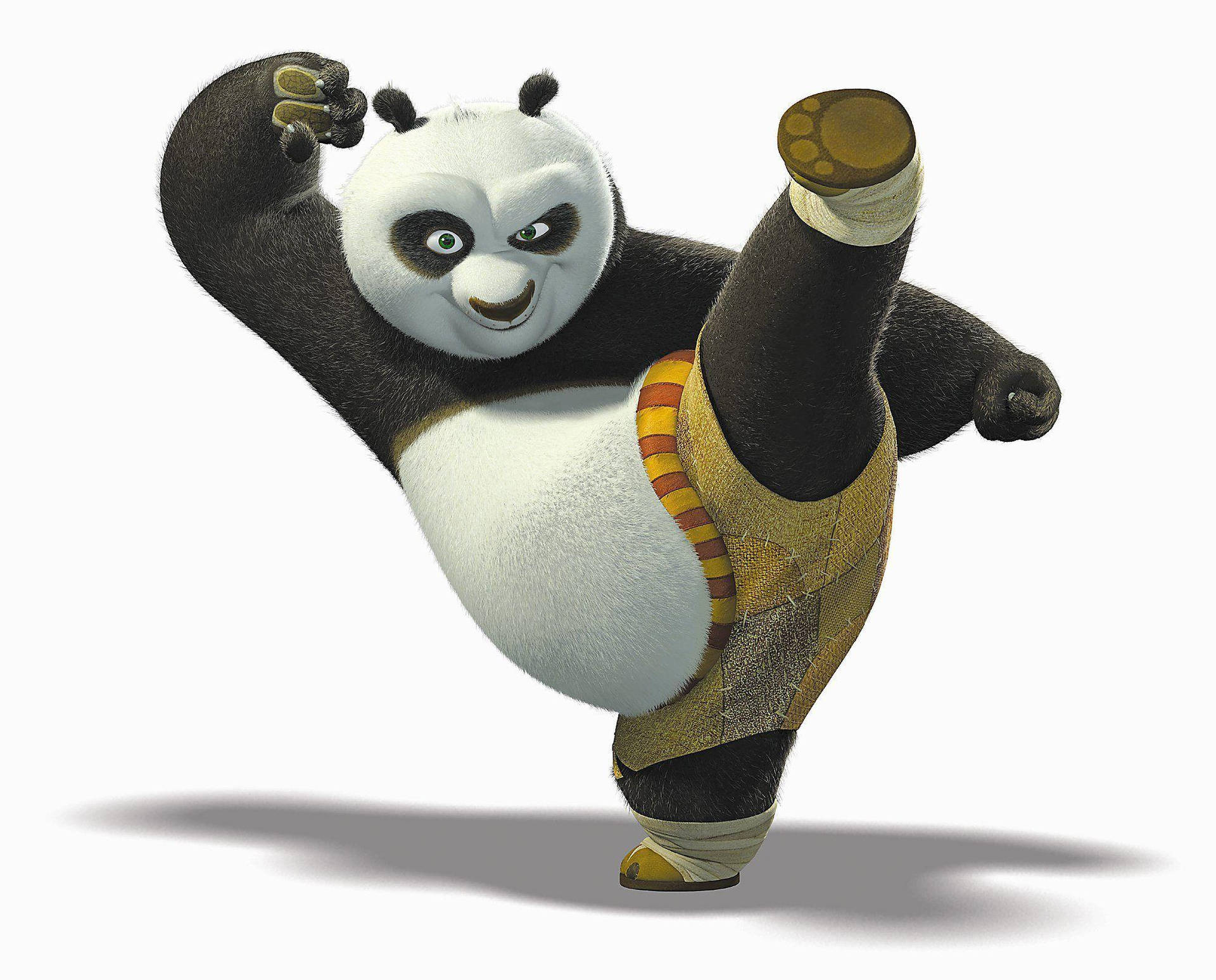 Kung Fu Panda Kicking With White Backdrop