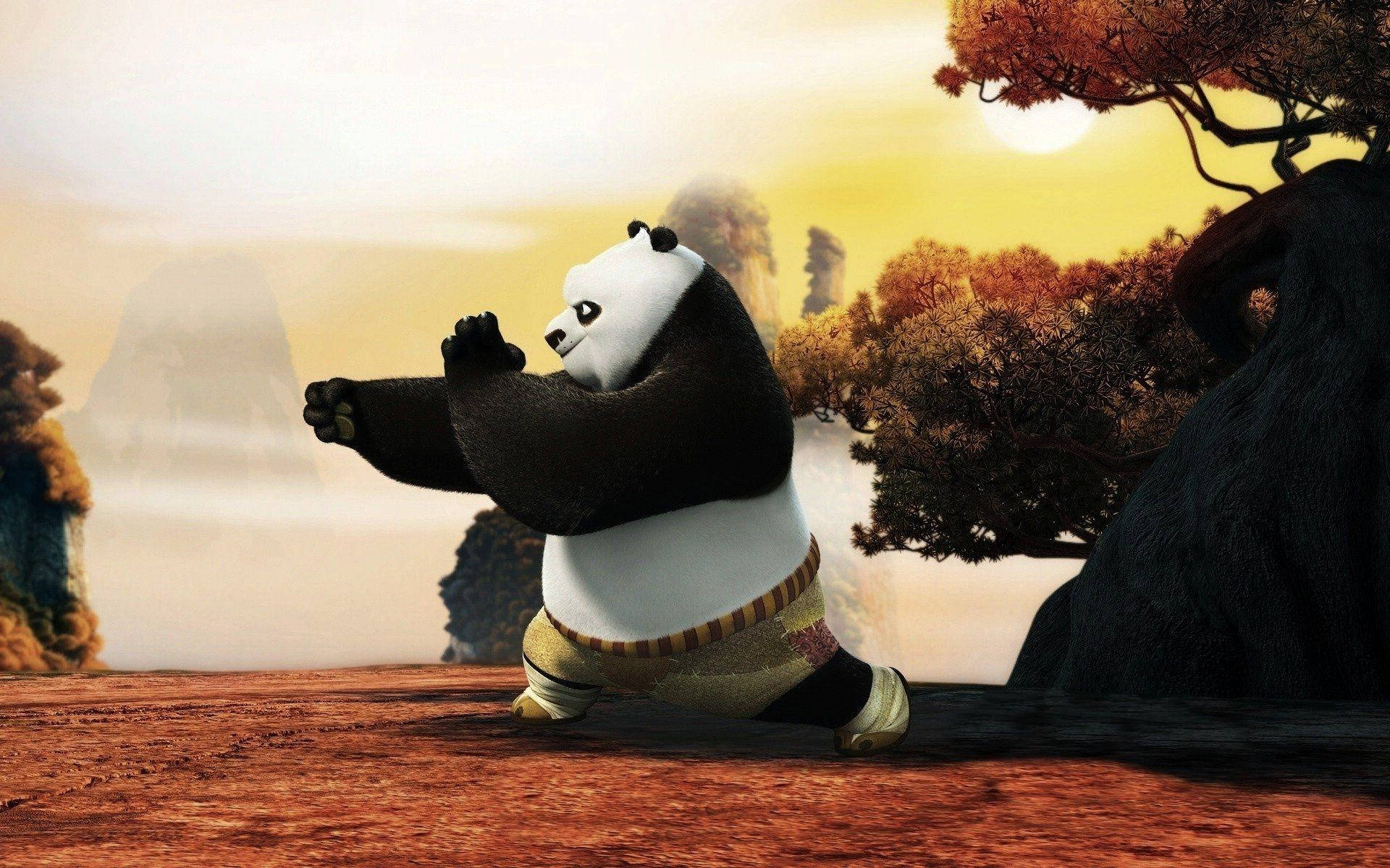 Kung Fu Panda Training