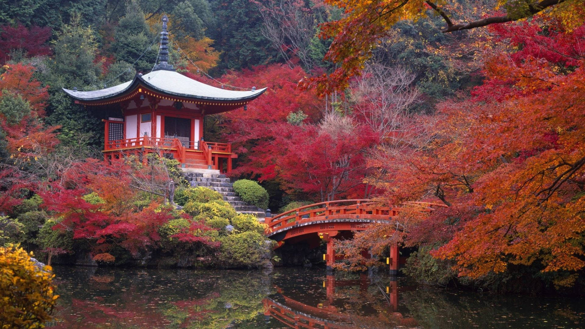 Kyoto Daigo Maple Trees Background