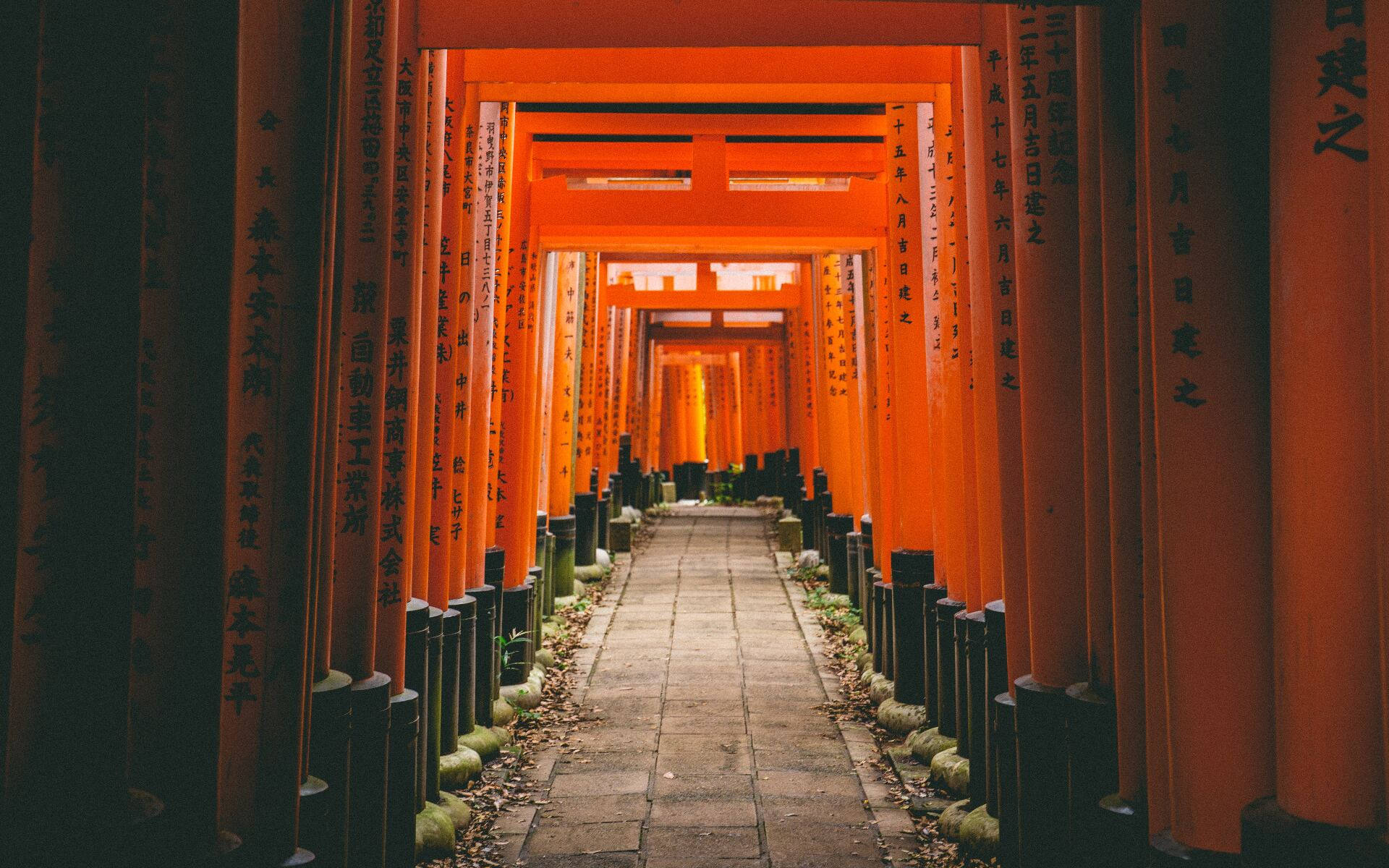 Kyoto Fushimi Torii Gates Background