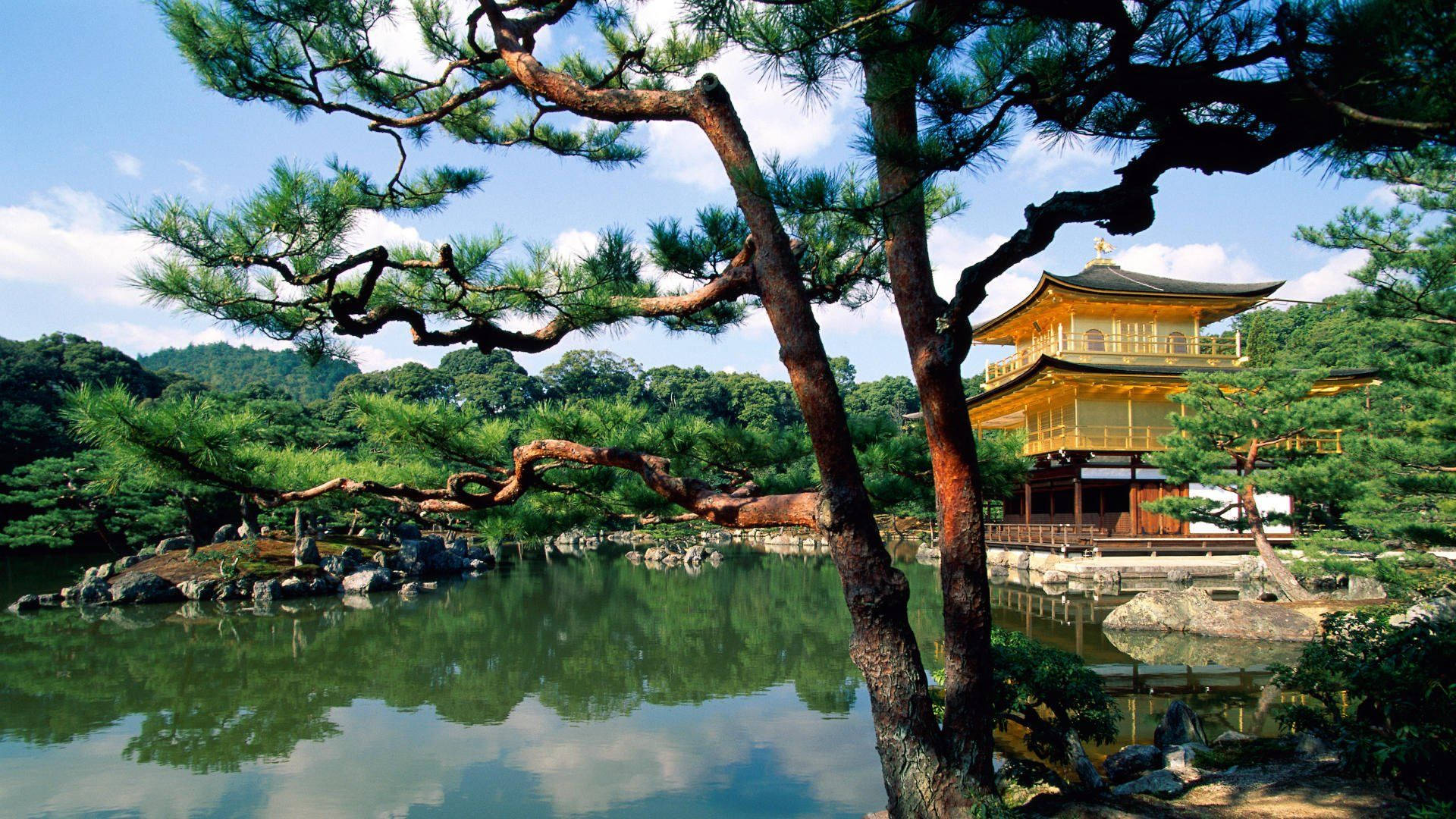 Kyoto Golden Kinkakuji Background