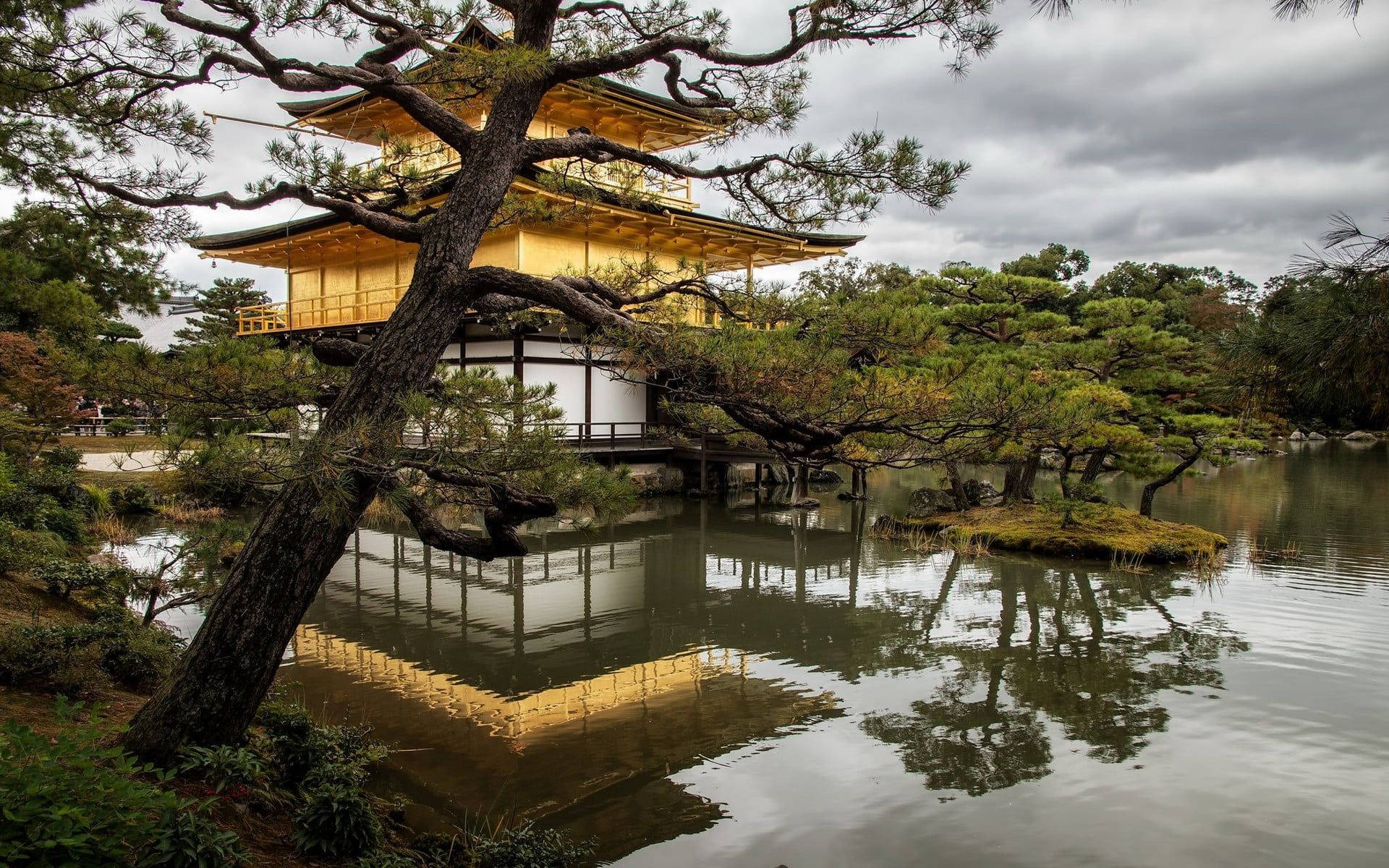 Kyoto Golden Pavilion Background