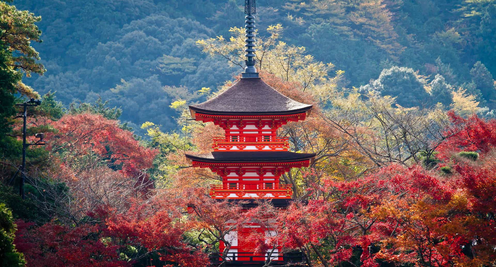 Kyoto Koyasu Pagoda Background
