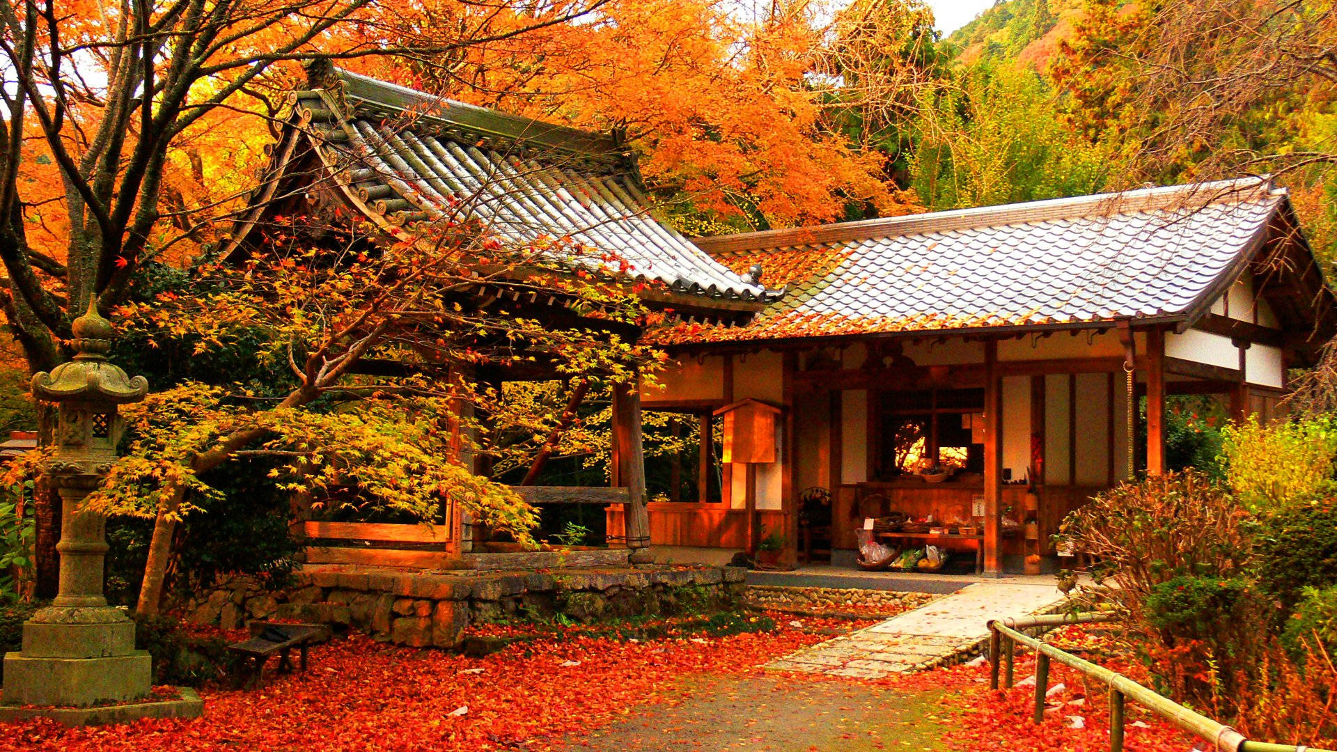 Kyoto Maple House
