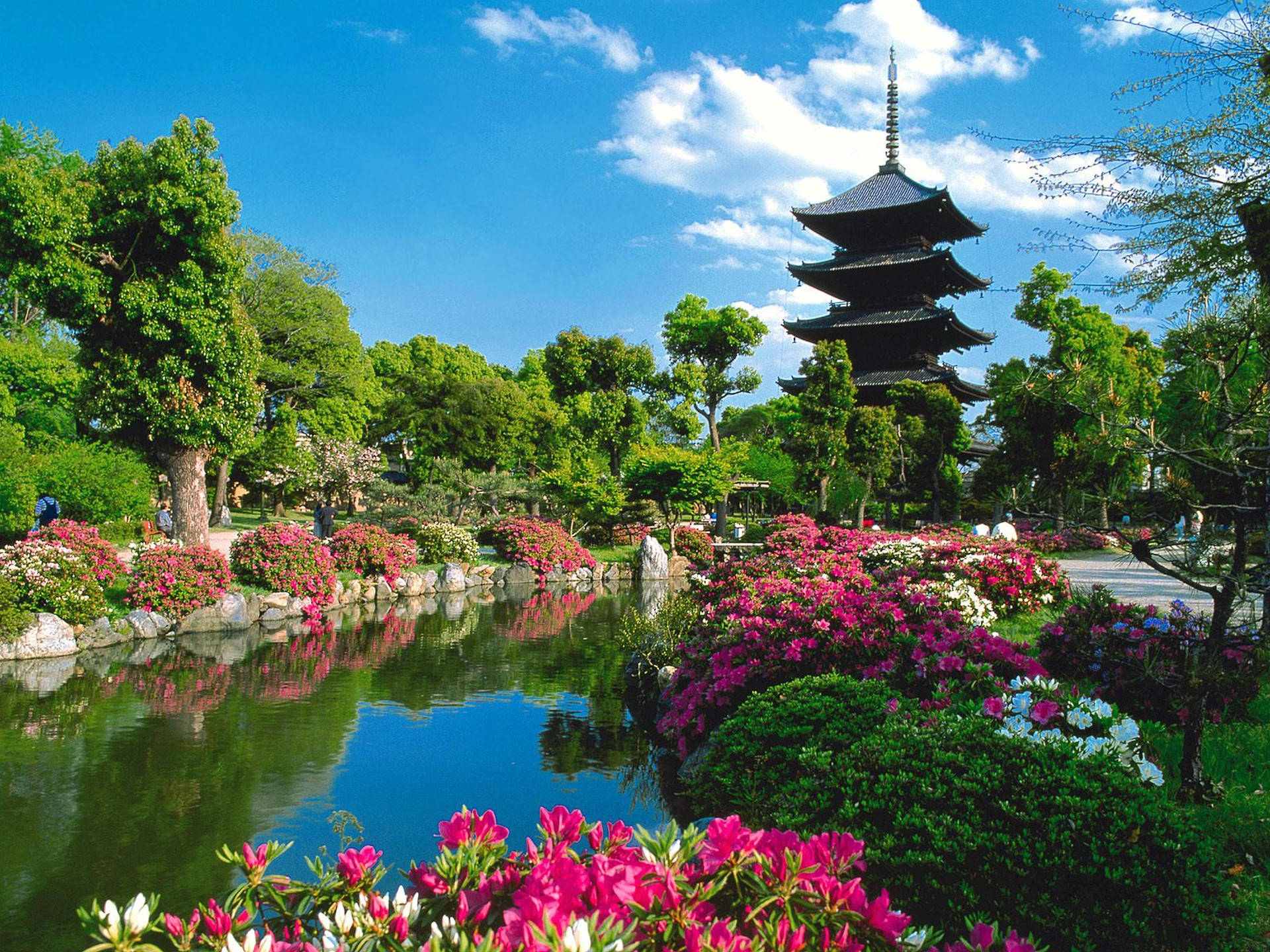Kyoto Toji Garden