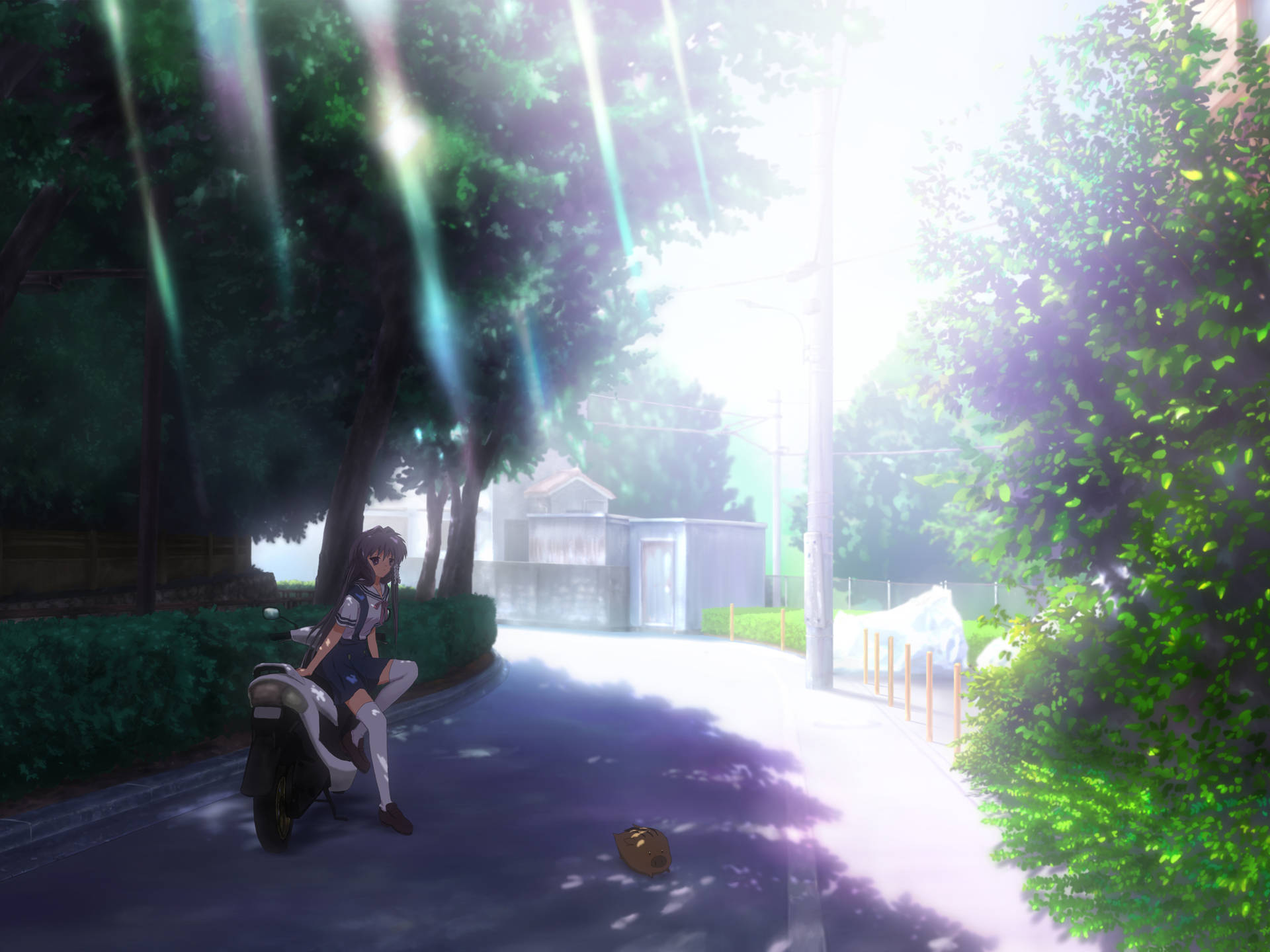 Kyou In Motorcycle In Clannad Background