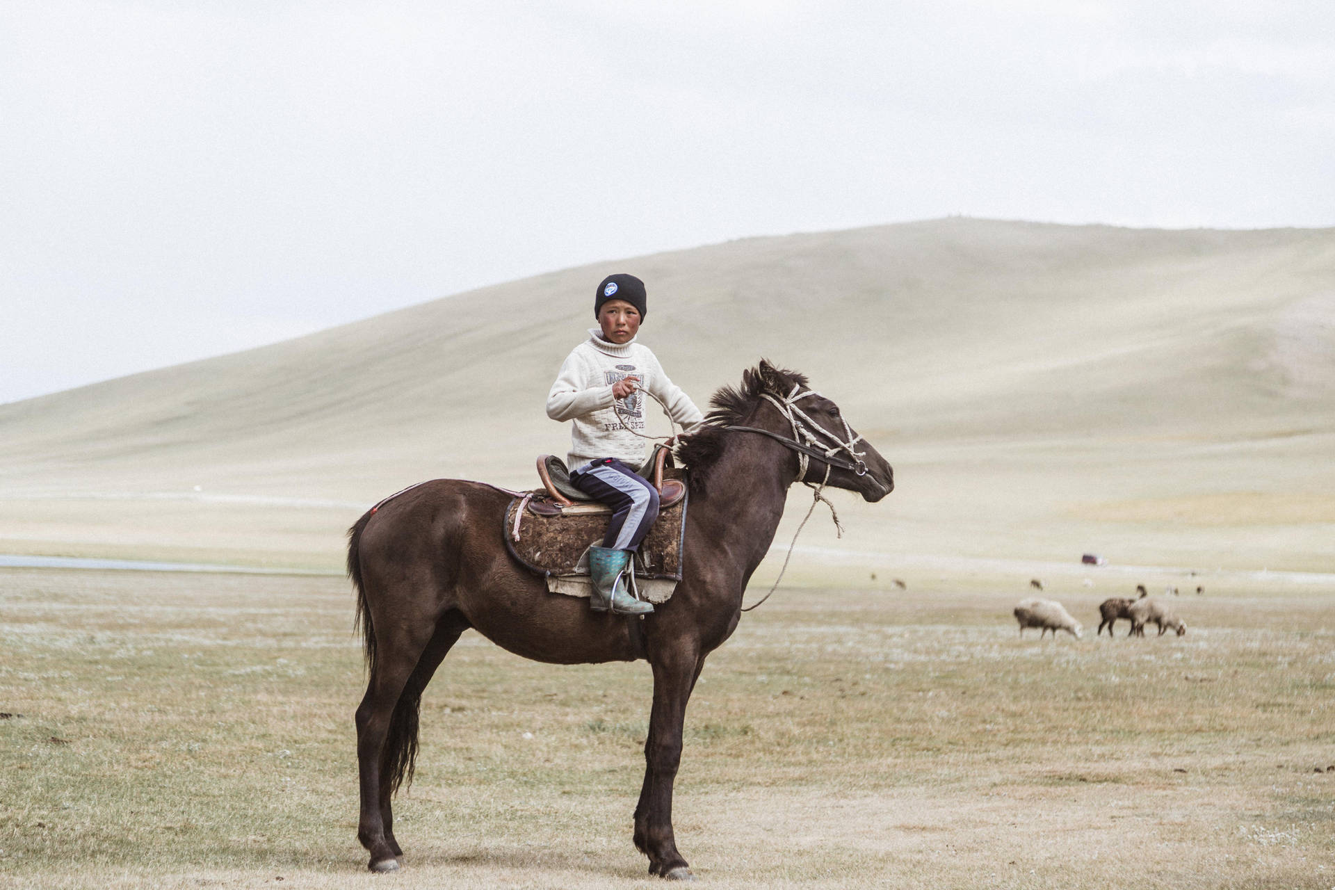 Kyrgyzstan Horse Land Background