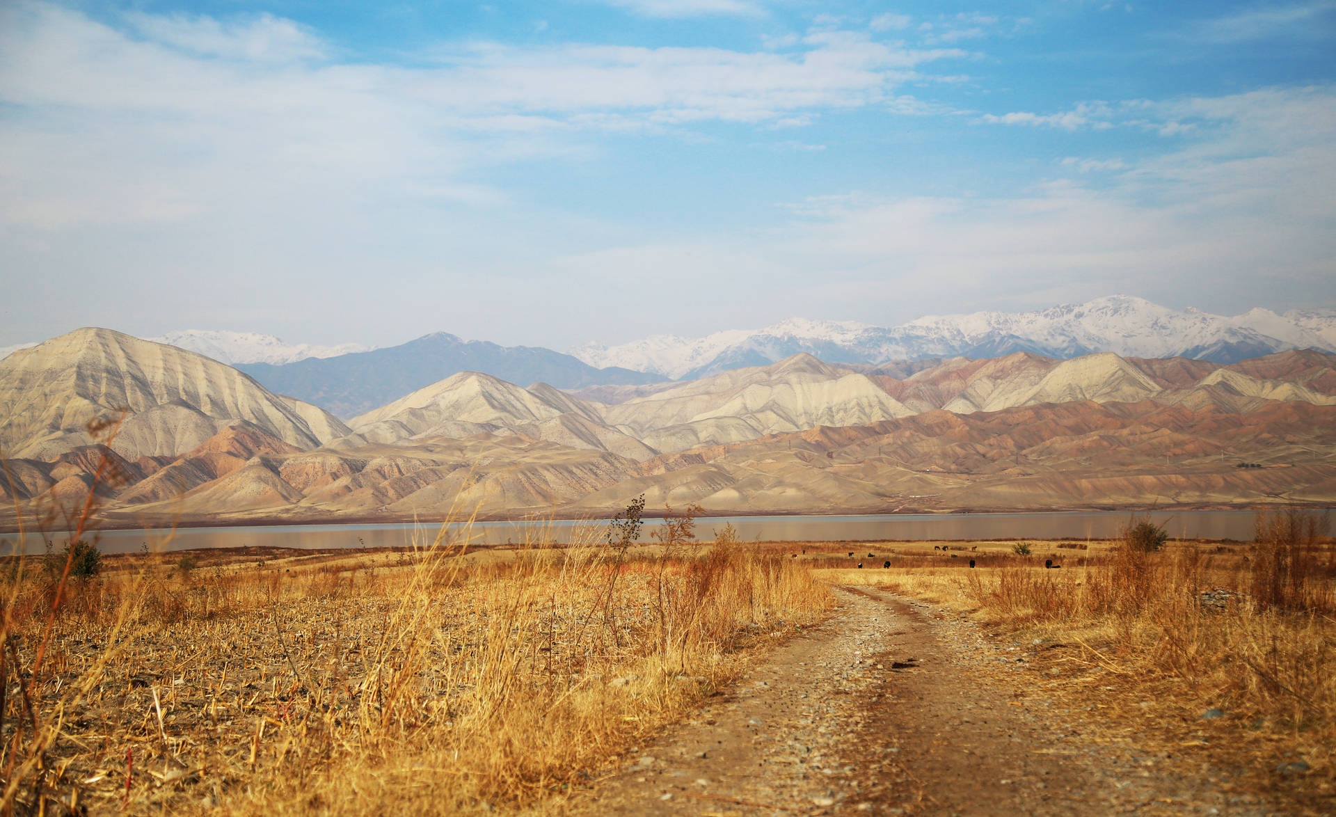 Kyrgyzstan Mountain Region Background
