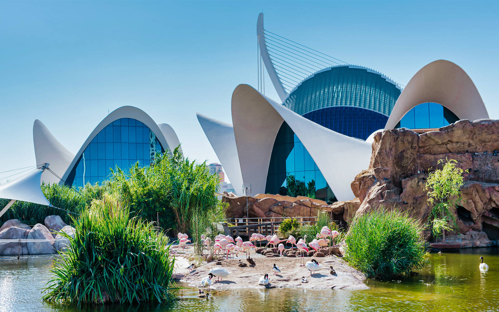 L'oceanogràfic Valencia