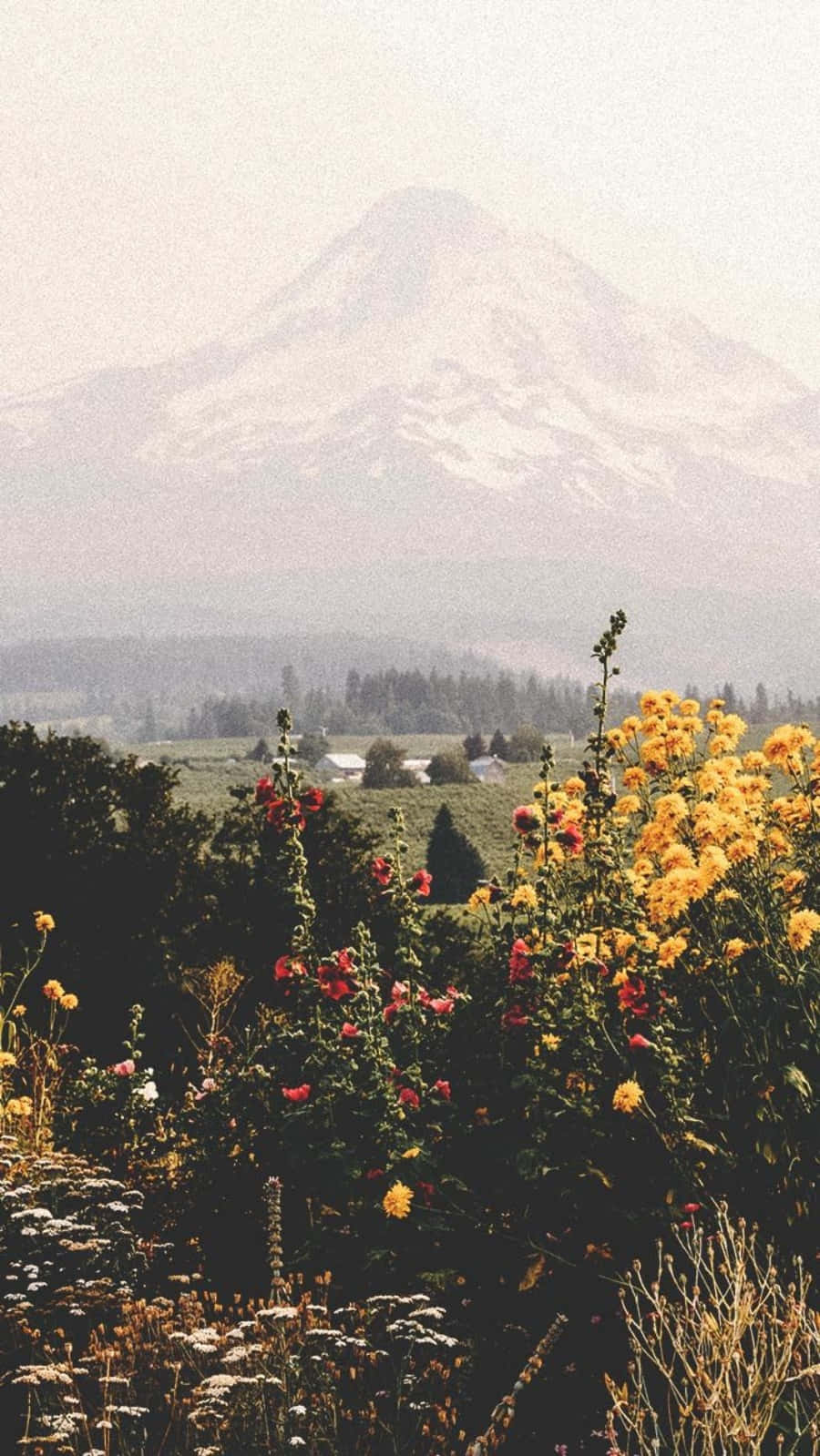 La Cocha Lagoon Relaxing Iphone