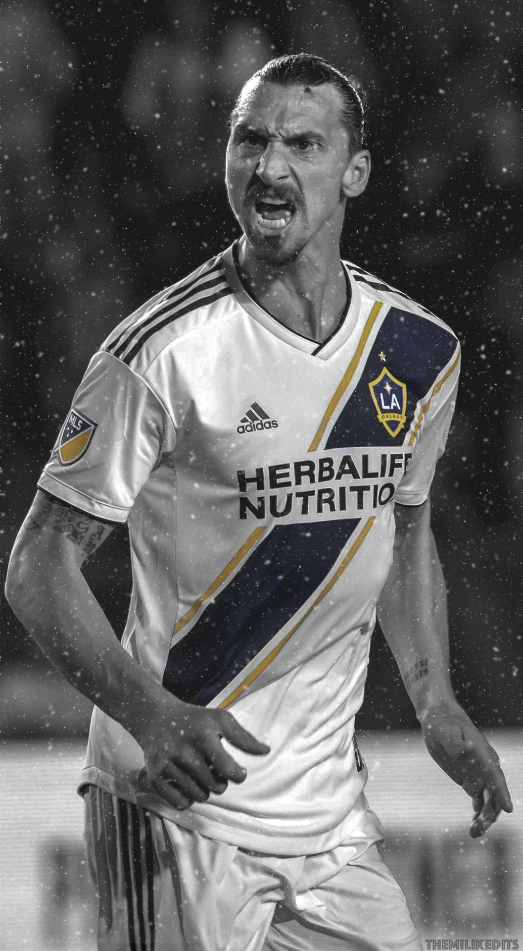 La Galaxy Game Highlights Background