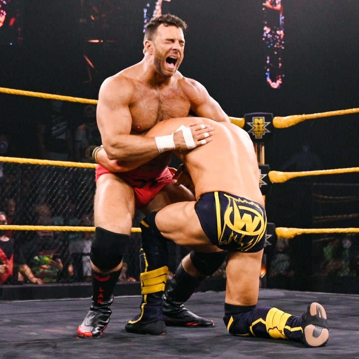 La Knight Vs. Johnny Gargano Wwe Match Background